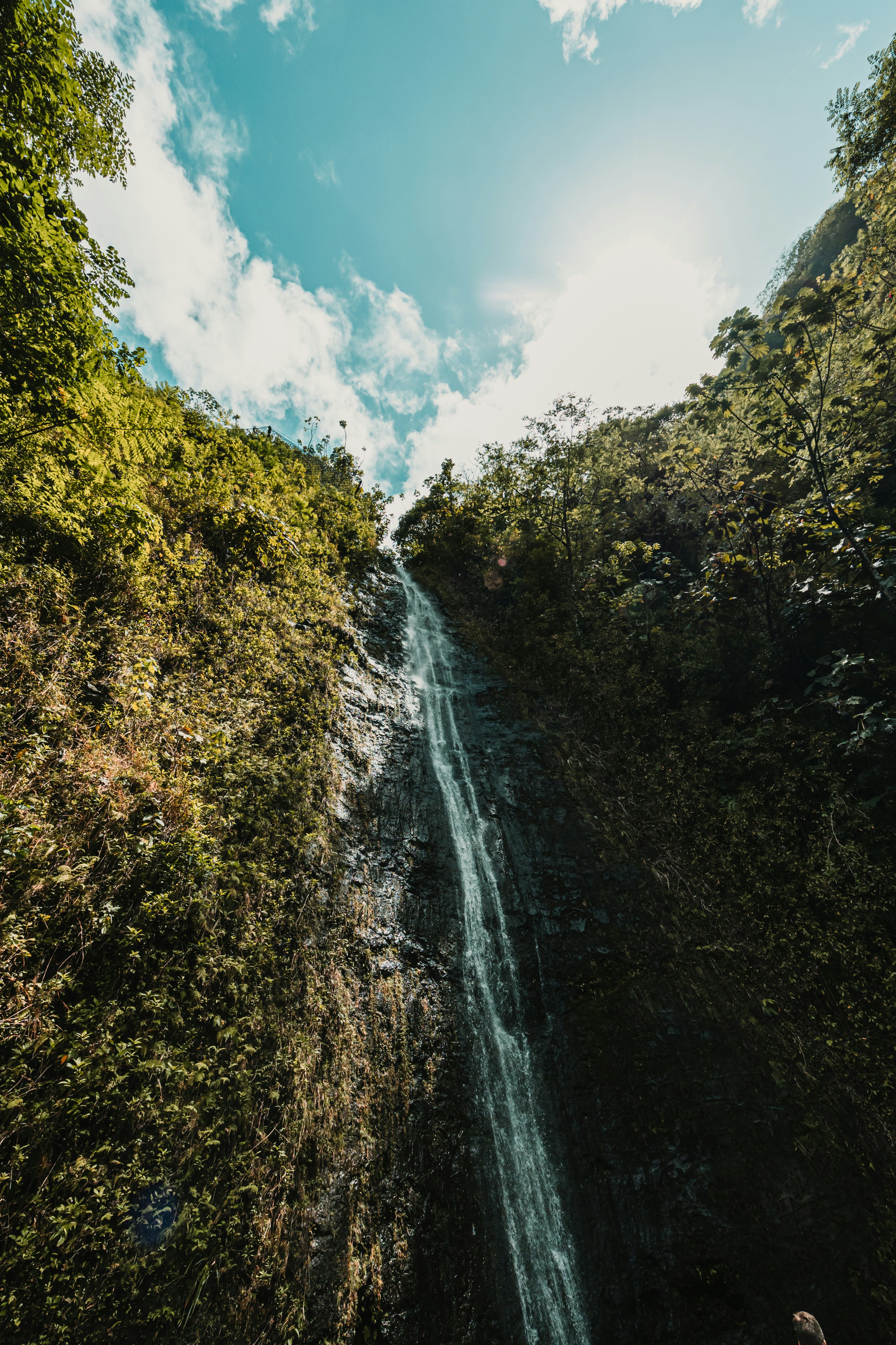 Photo by dariendesigns