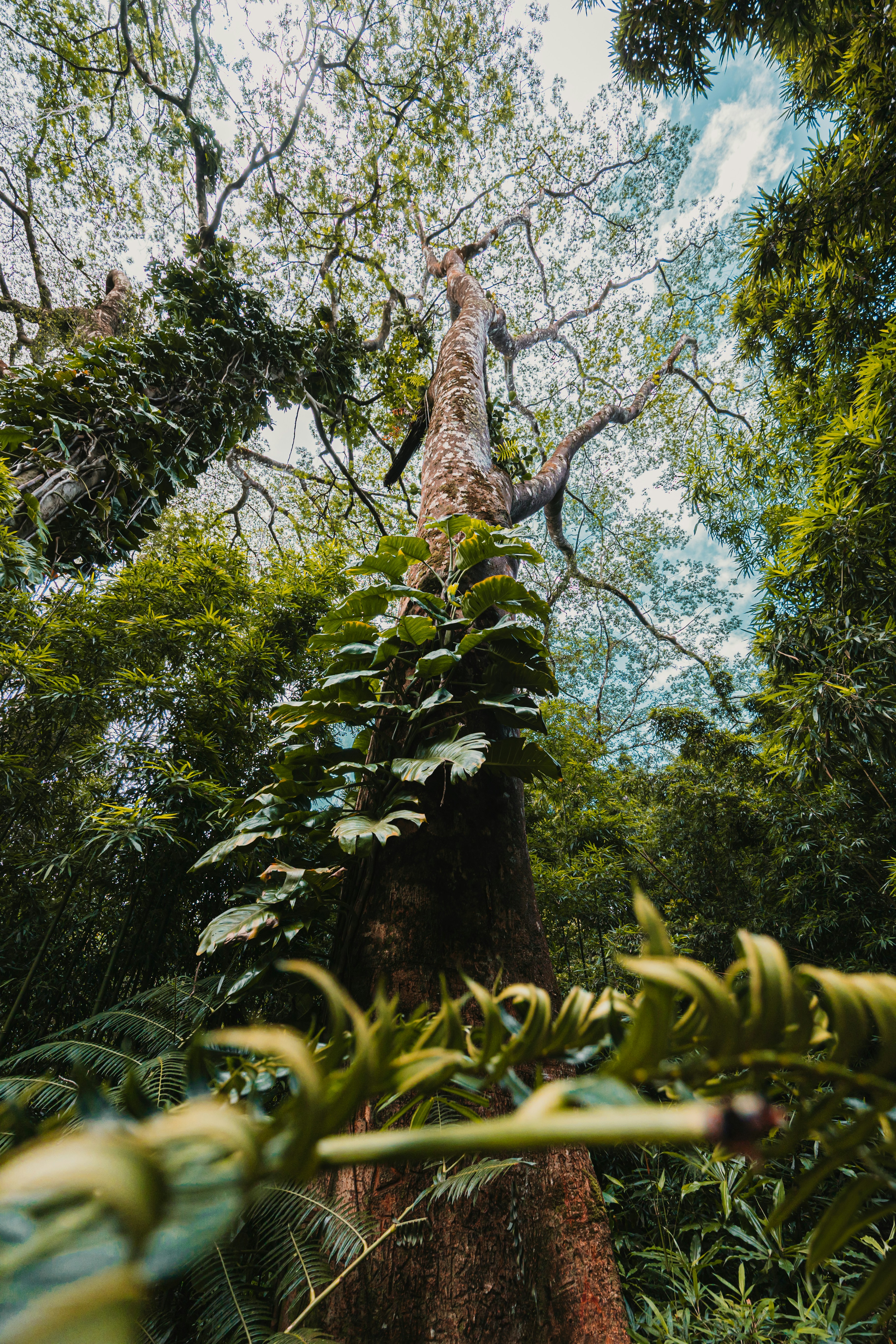 Photo by dariendesigns