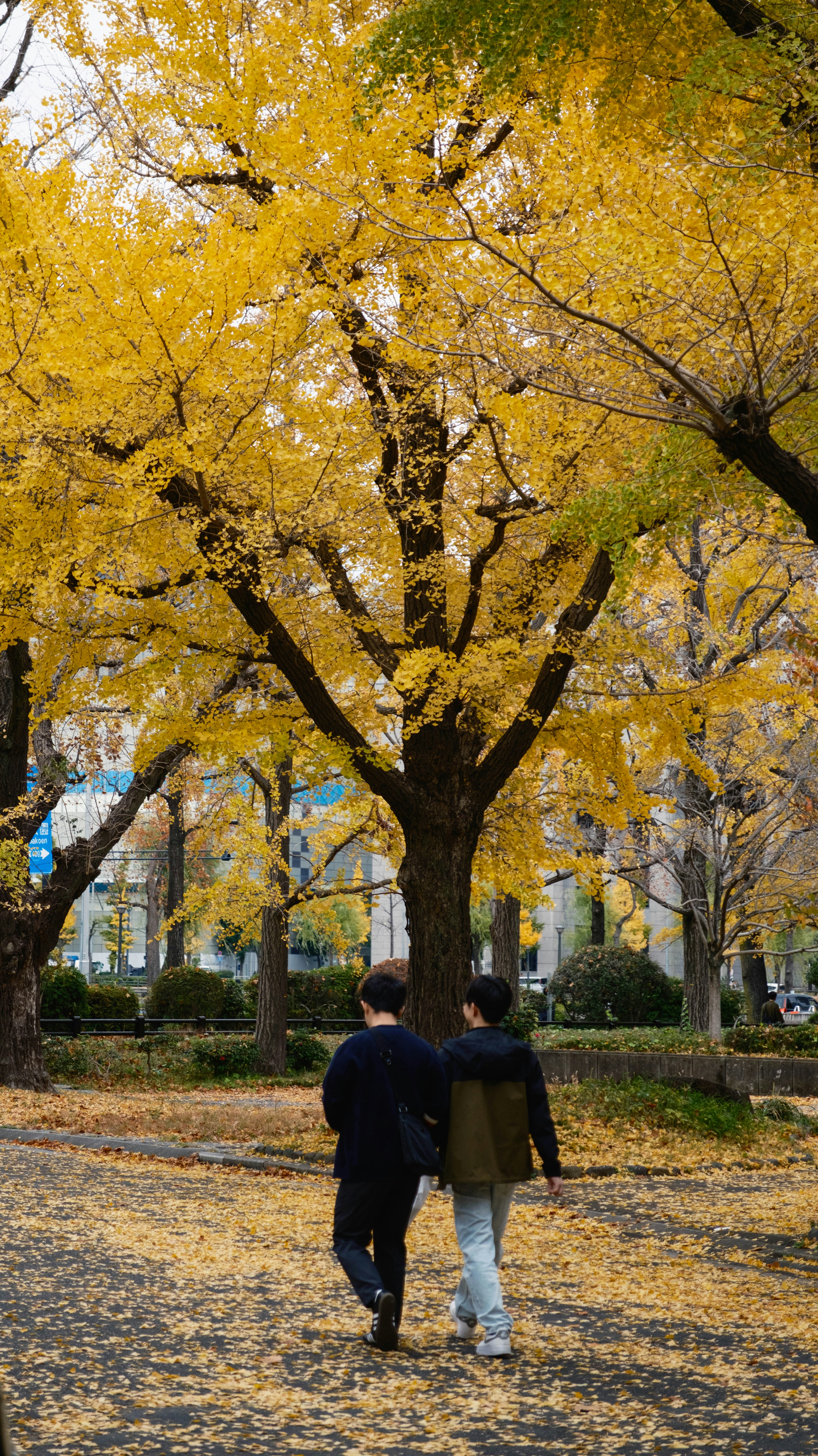 Photo by chenkuochen