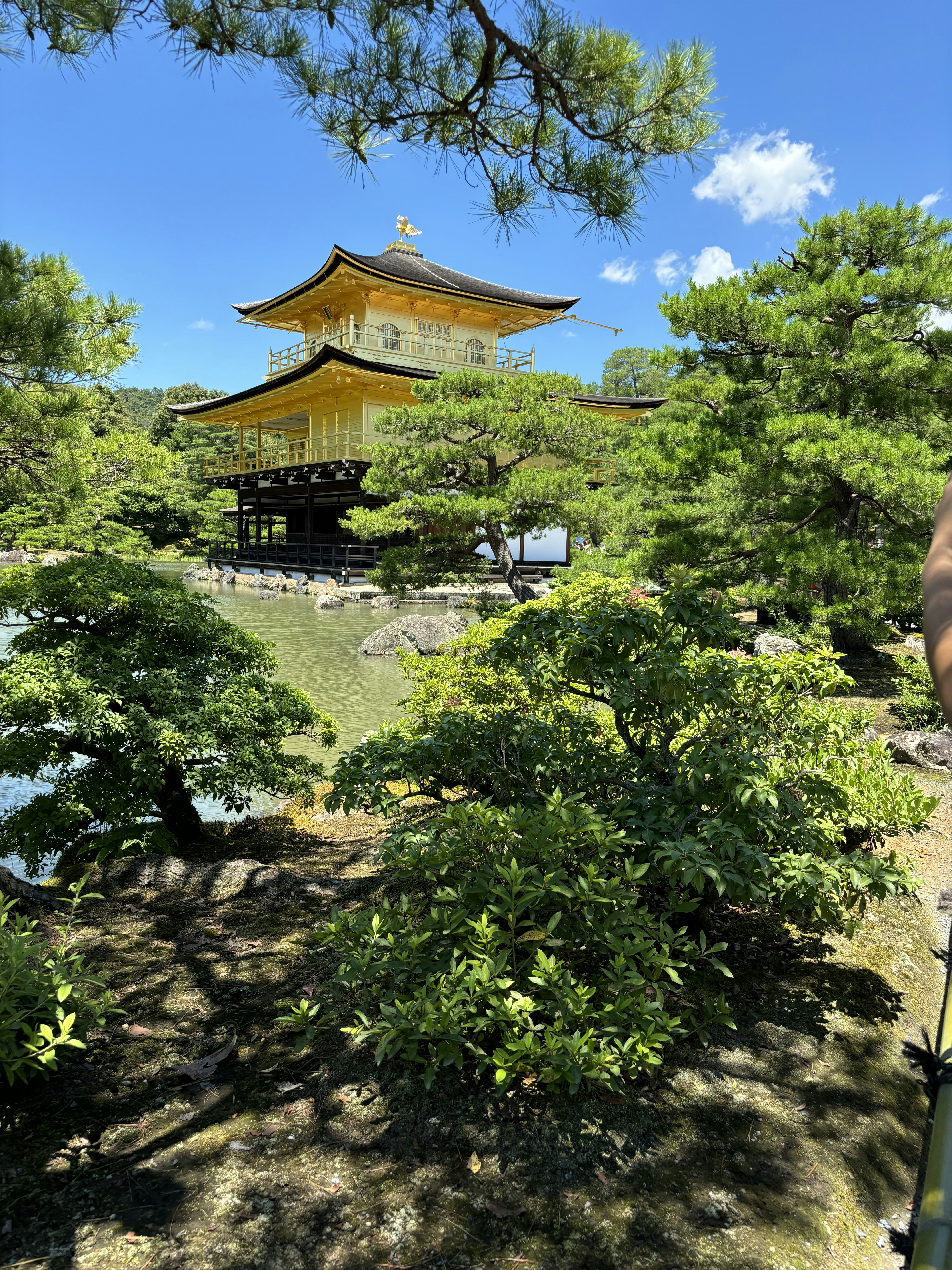 Golden pavilion surrounded by lush green trees and water