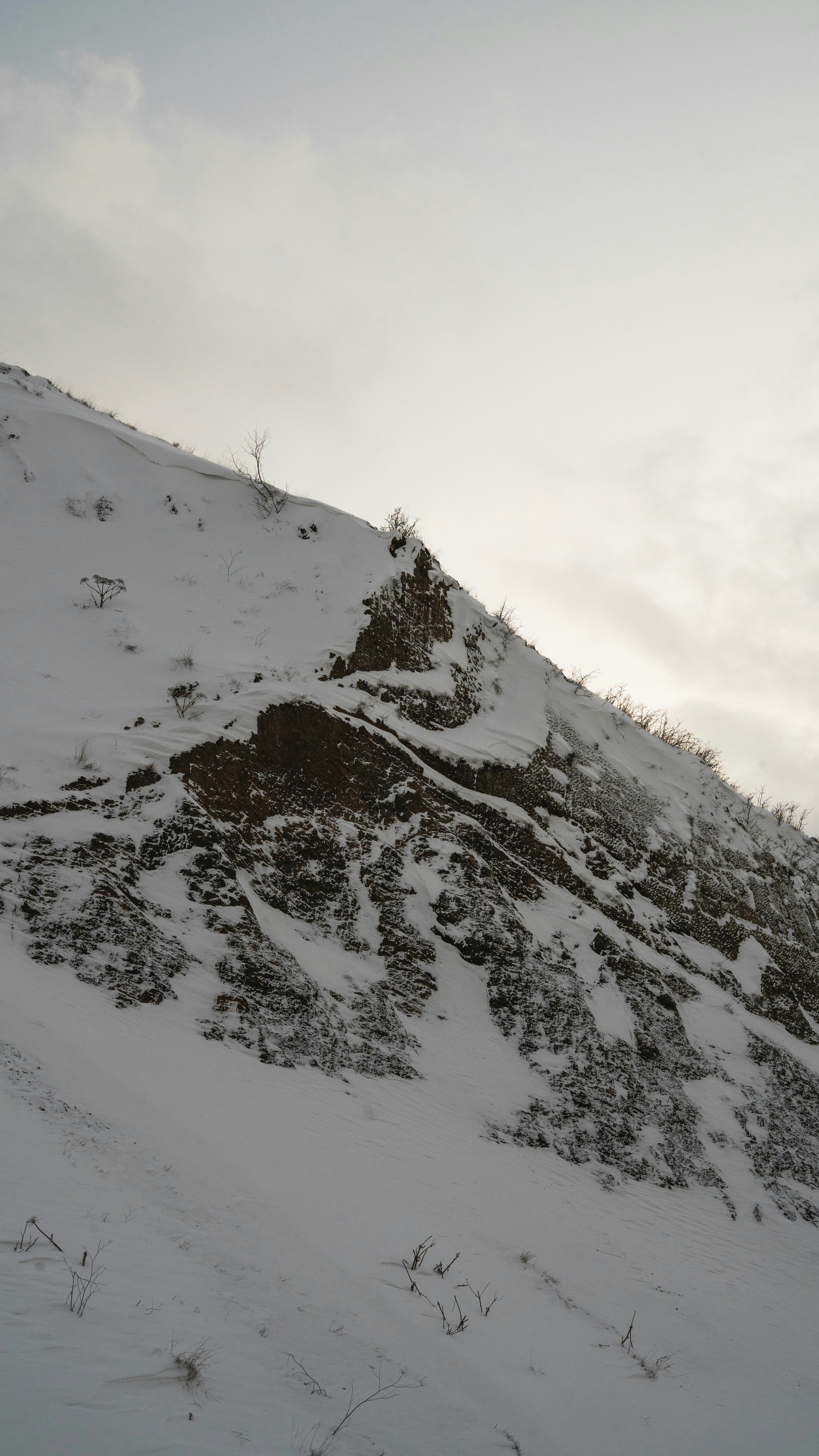 Photo by mrcharkhgard