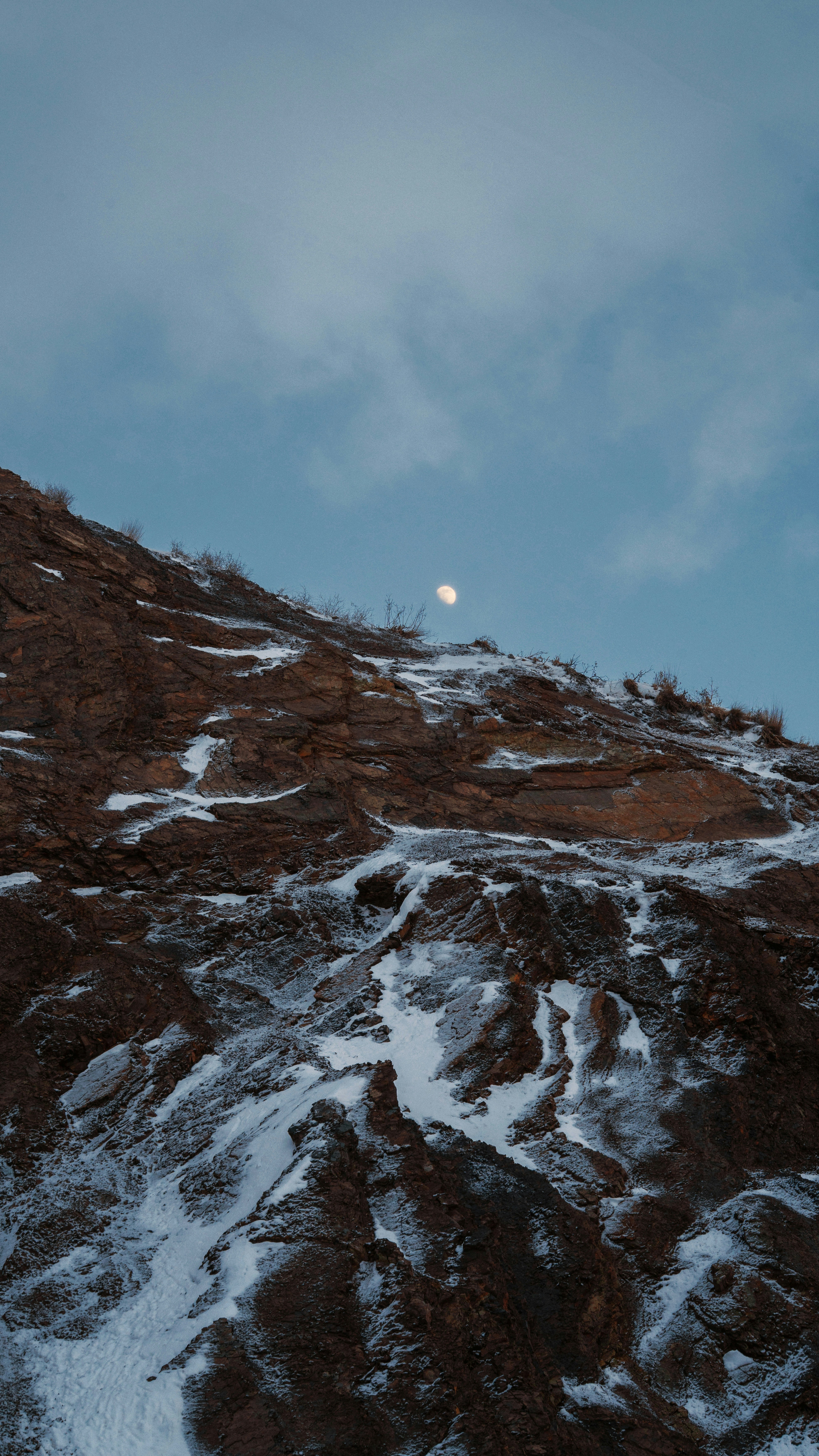 雪と月が空に輝くロッキー山脈の斜面。