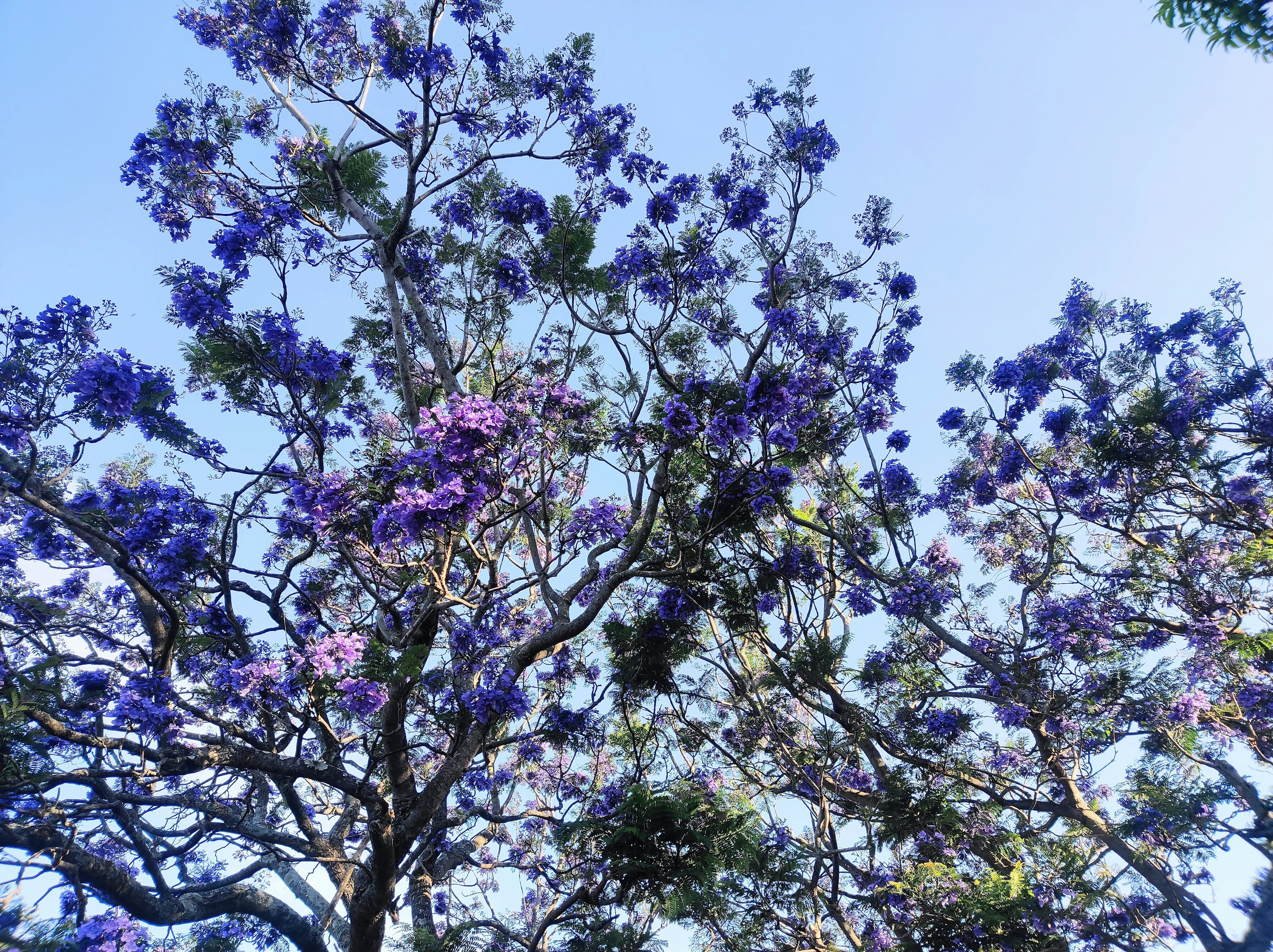 Photo by wanderingindian