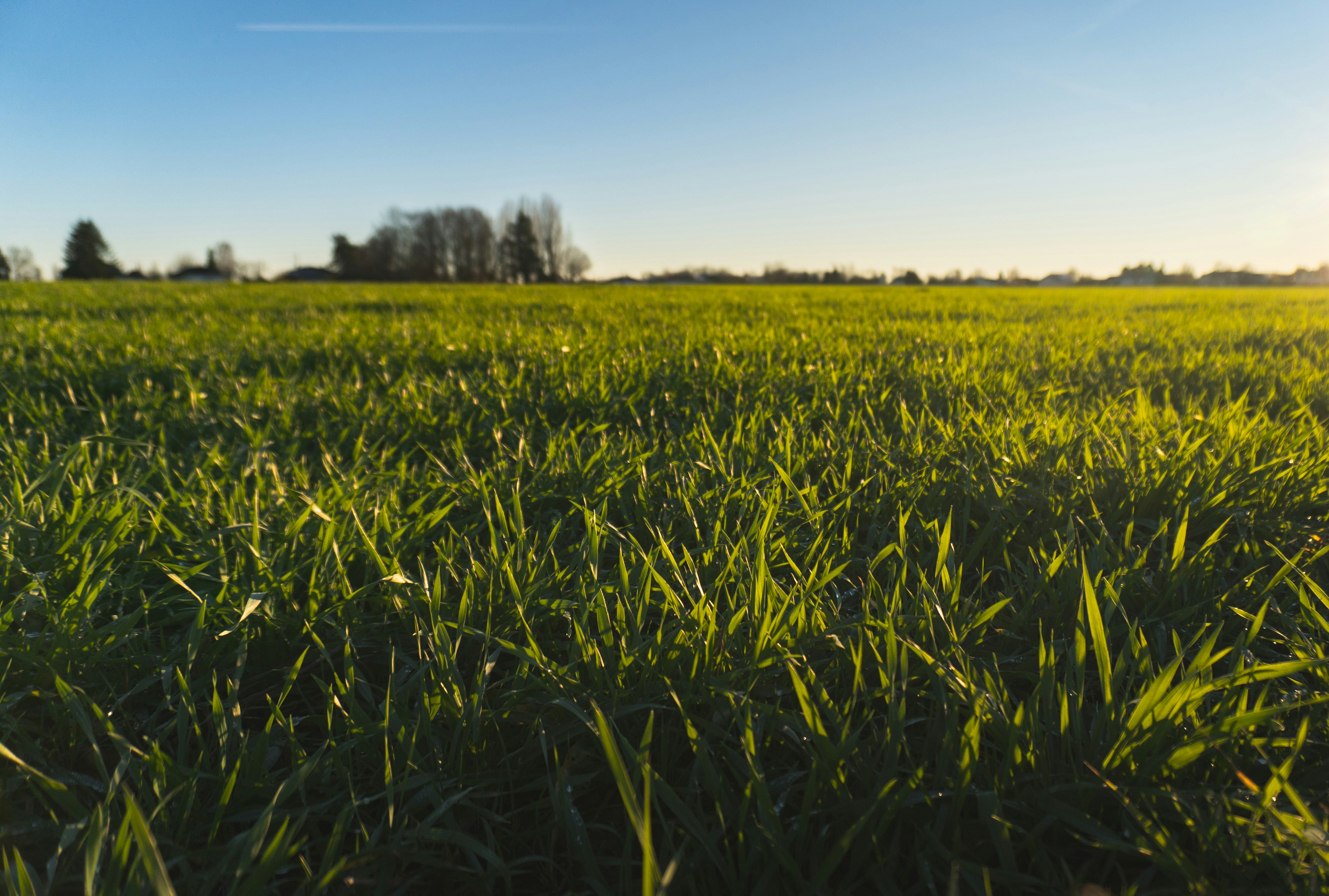 Photo by frederic_lobrutto