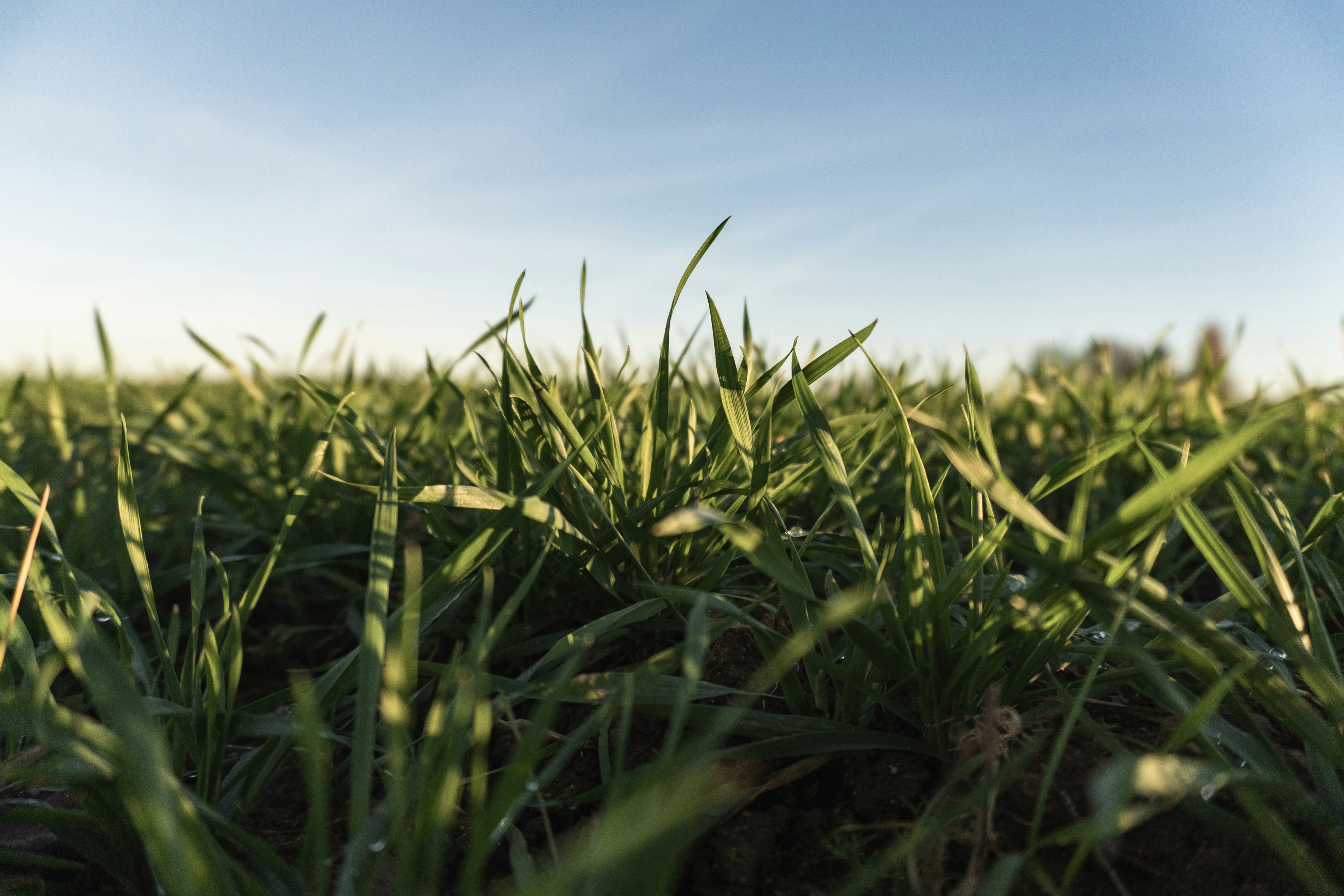 Photo by frederic_lobrutto