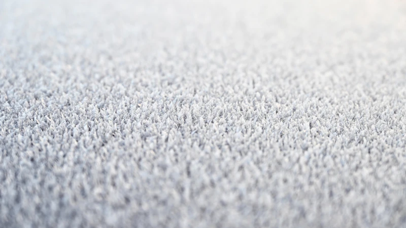 Close-up photo of clean white carpet