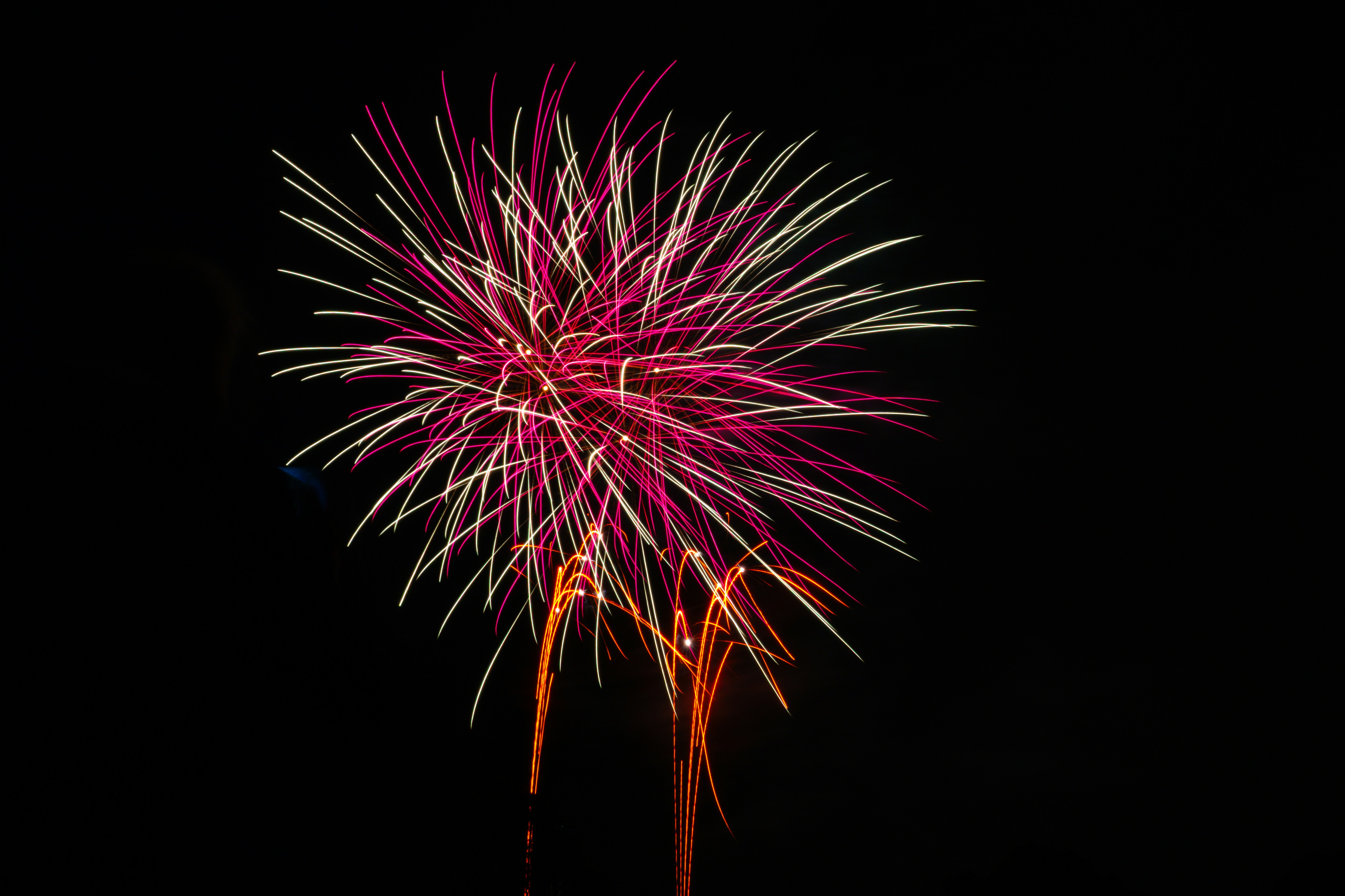 Fuegos artificiales morados foto – Imagen de Abstracto gratuita en Unsplash, image size:3000x2000