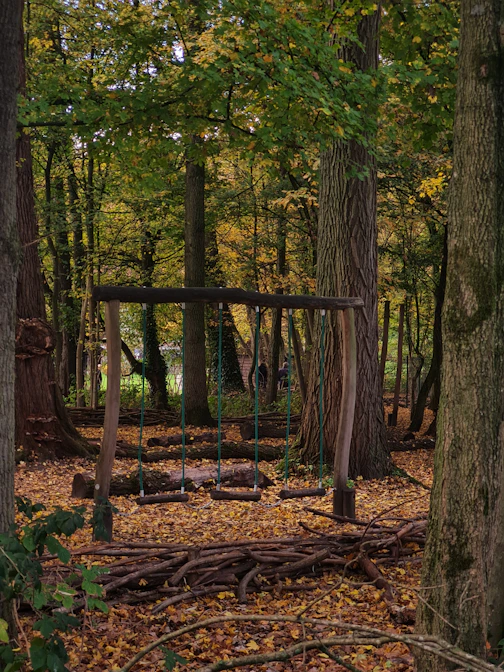 Wooden swingset in a forest with autumn leaves