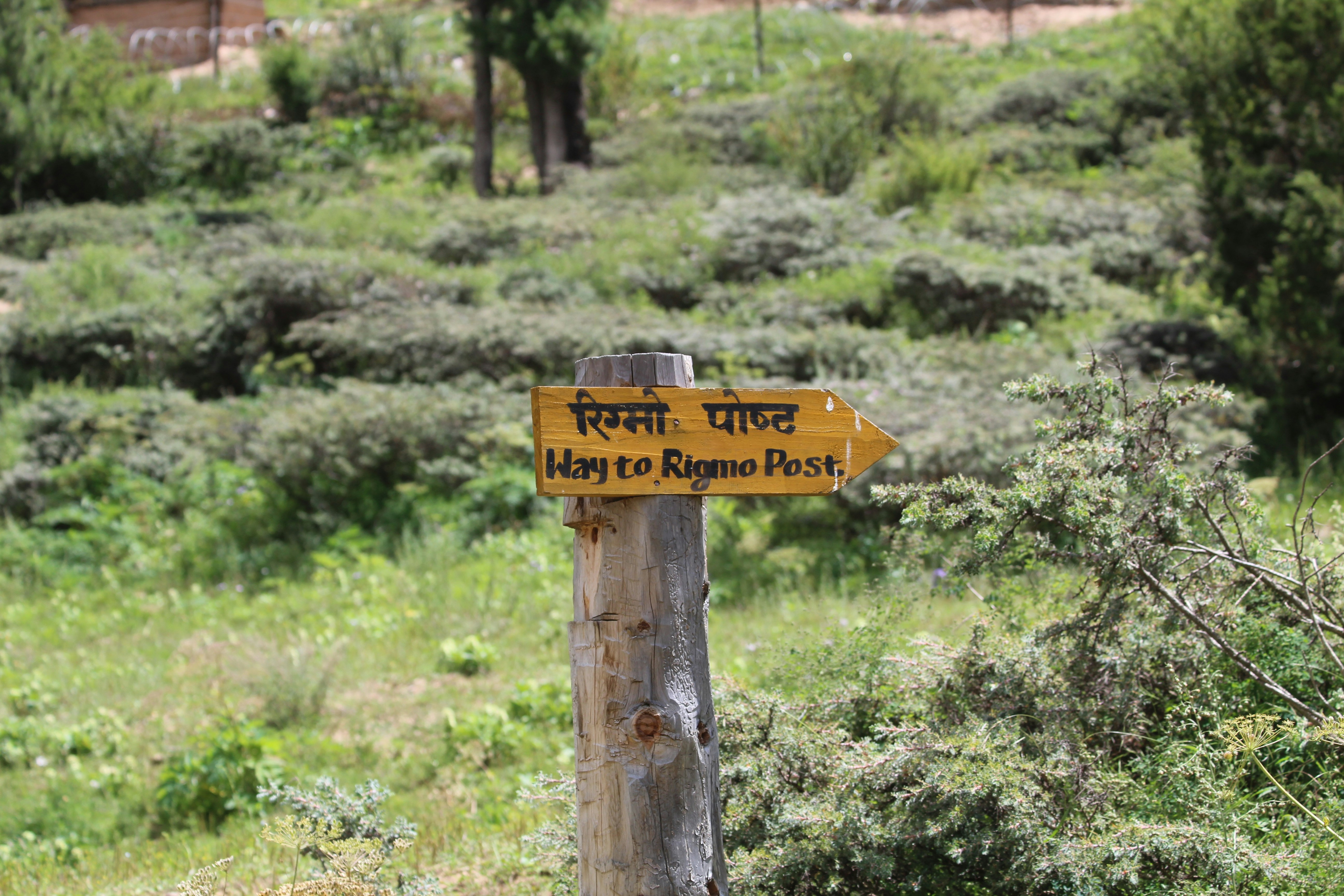 Poste de señalización de madera que apunta hacia el poste rigon