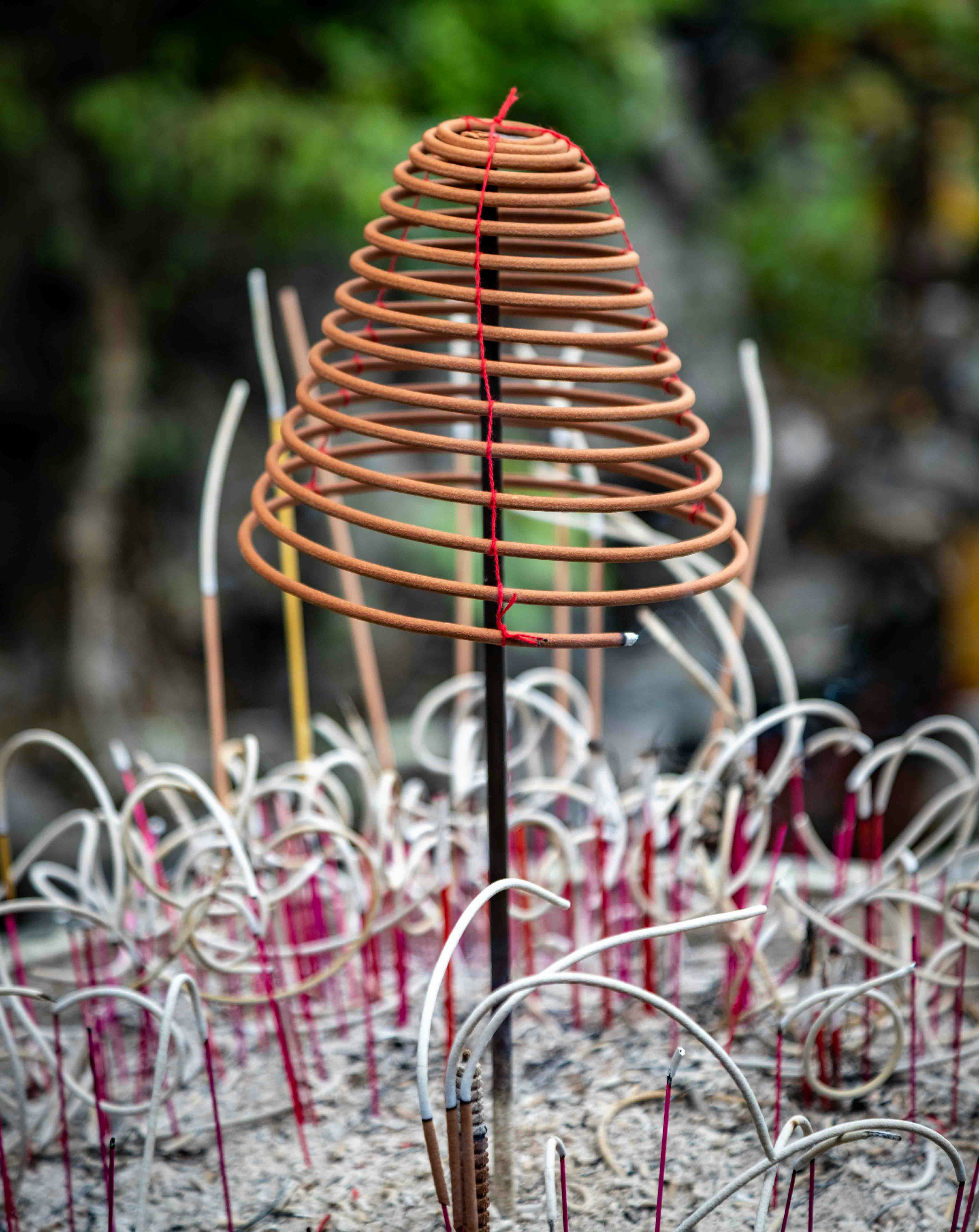 Coiled incense sticks burning in a temple