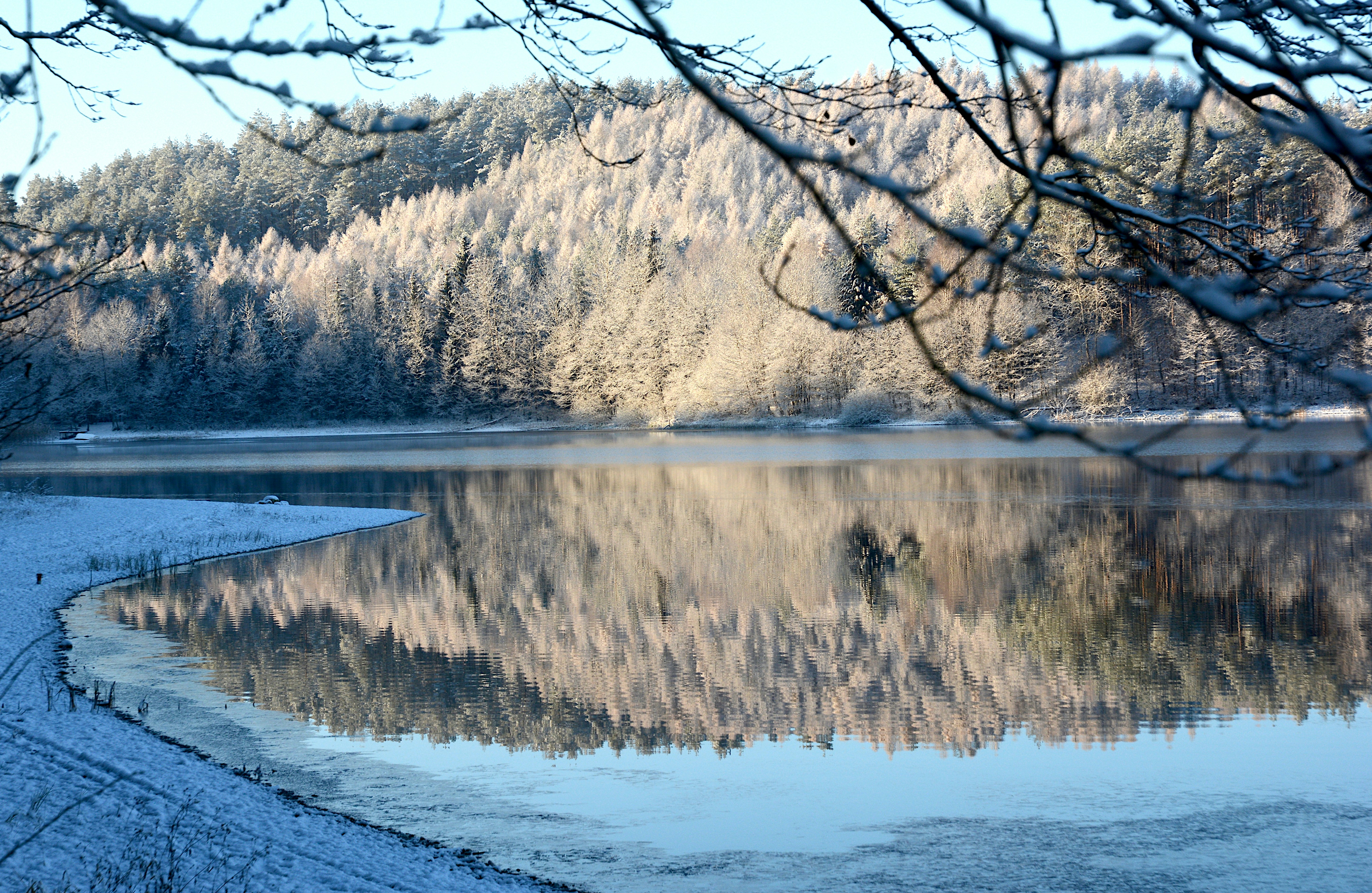 Snow-covered forest reflected in calm winter lake