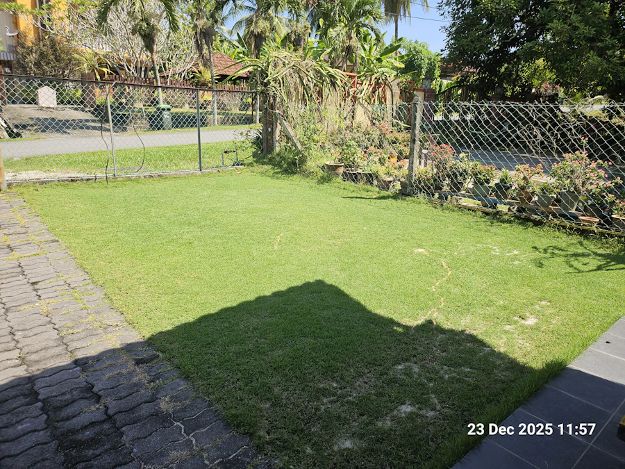 After lawn care