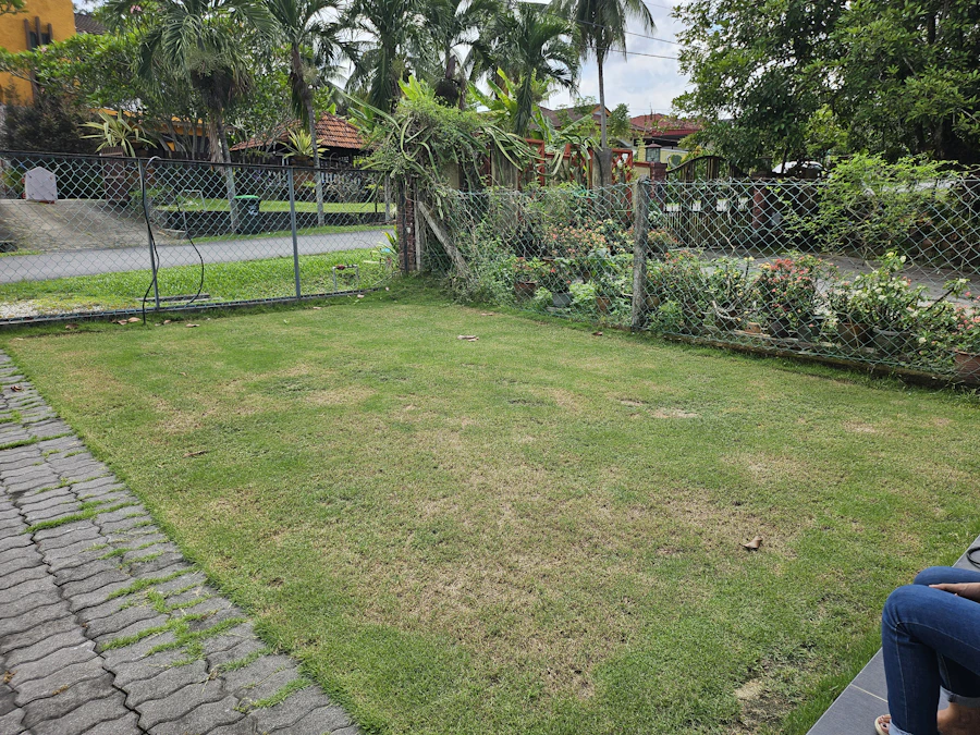 Before lawn care