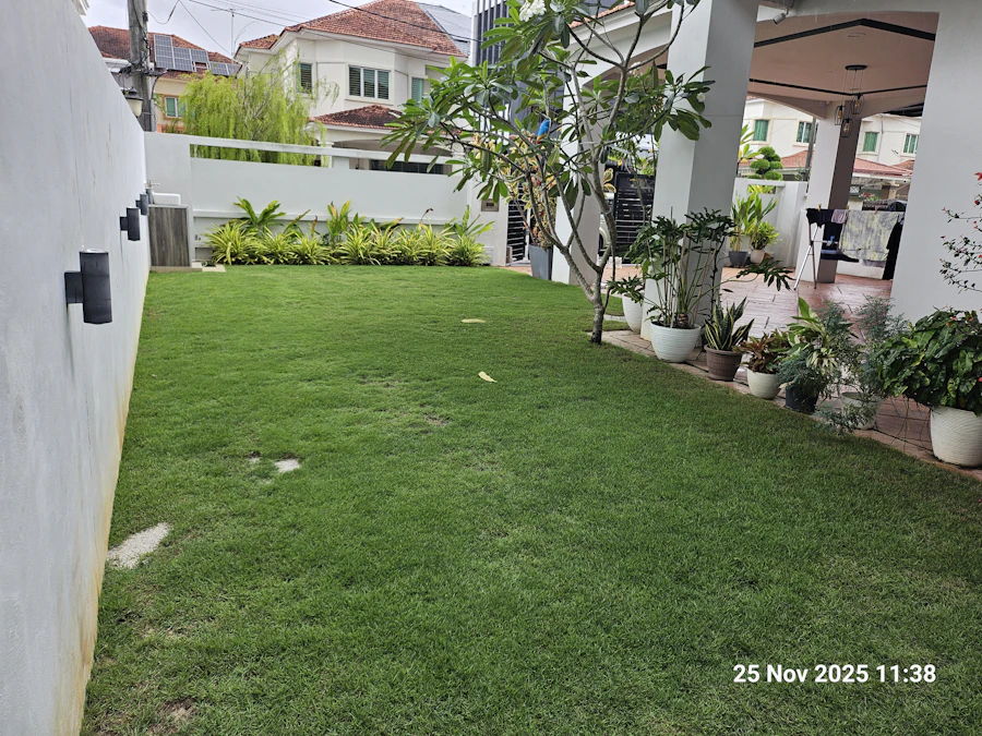 After lawn care