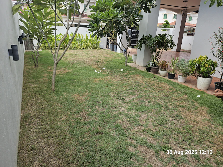 Before lawn care