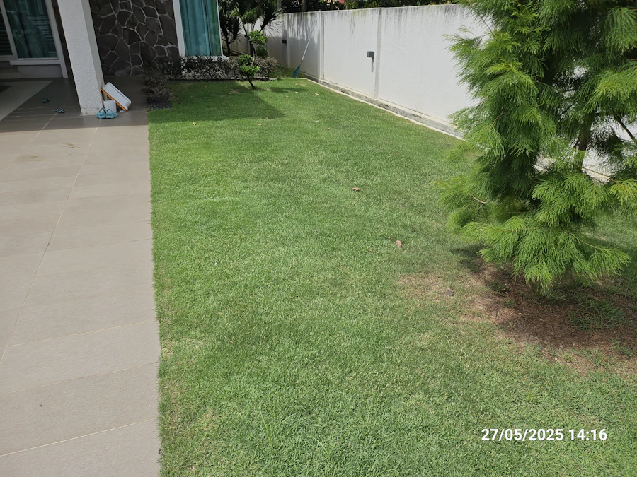 After lawn care