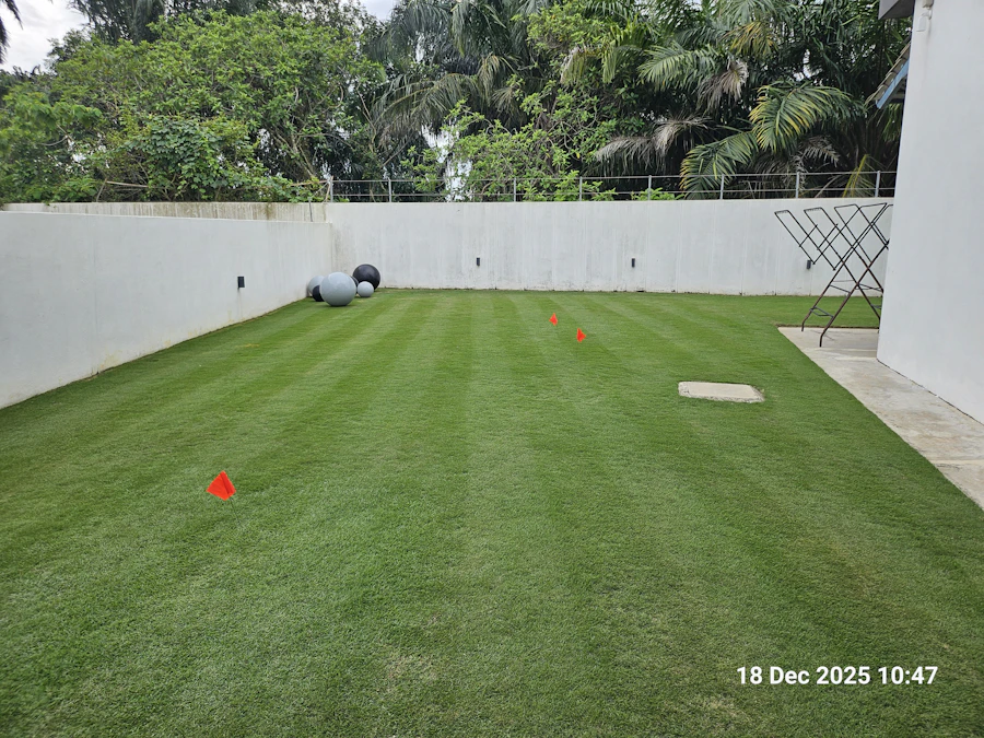 After lawn care