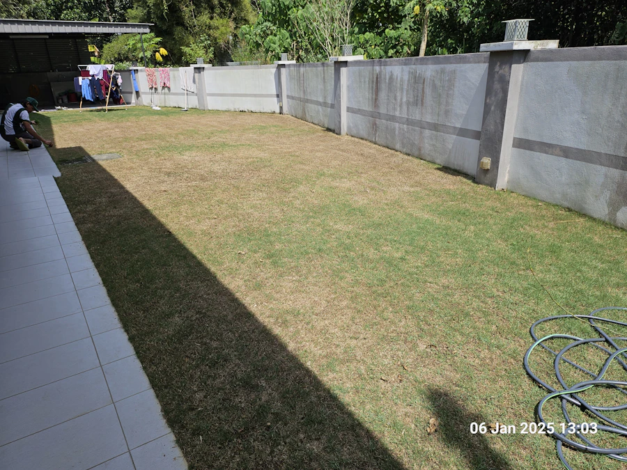 Before lawn care