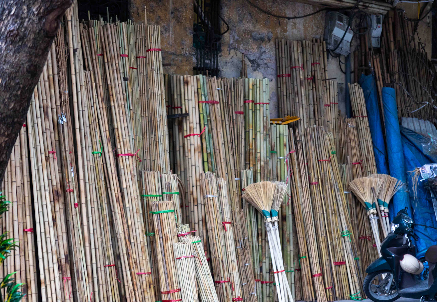Bundles of split bamboo poles stacked upright for sale