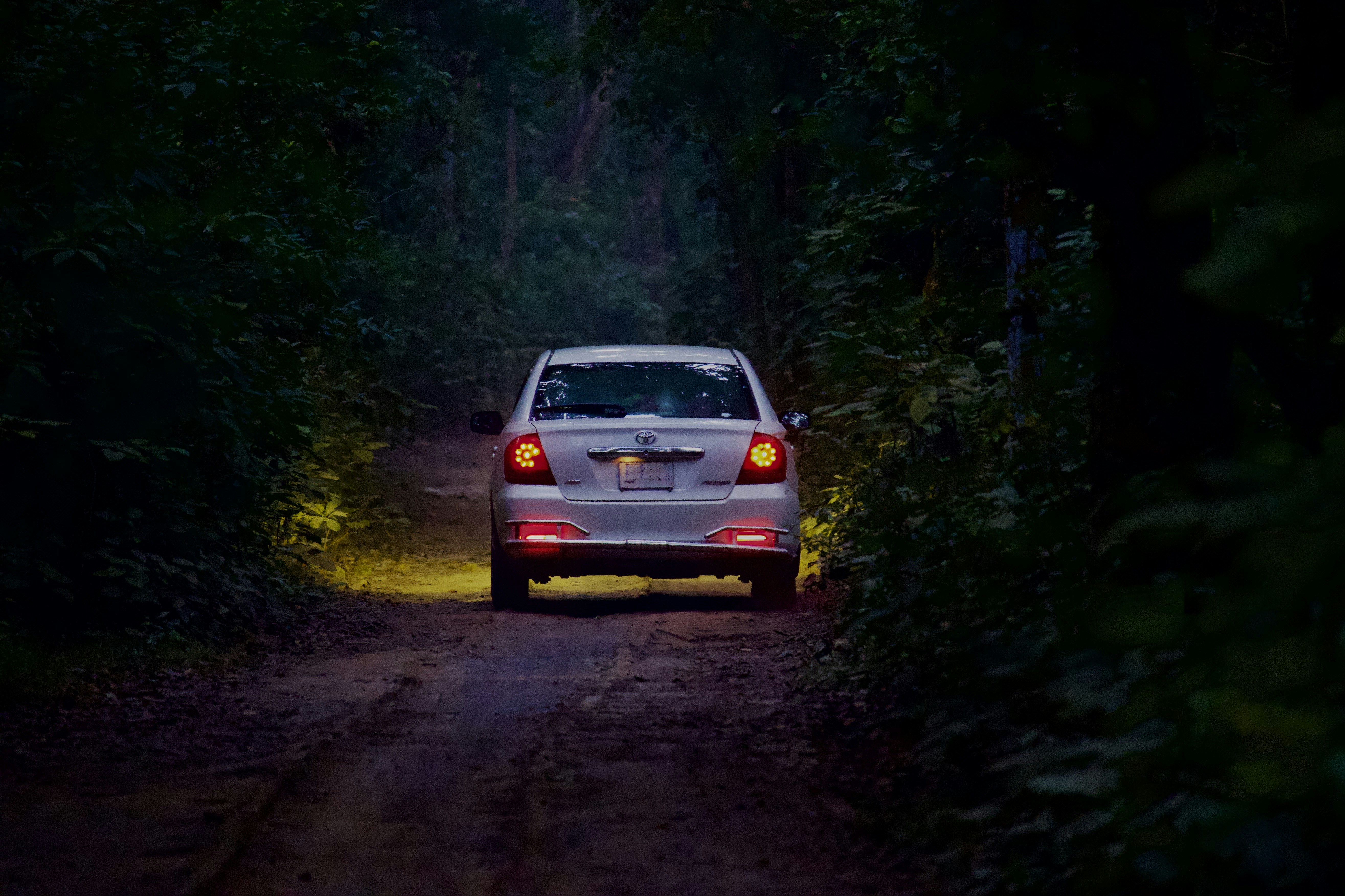 Car driving down a dark forest road at night.