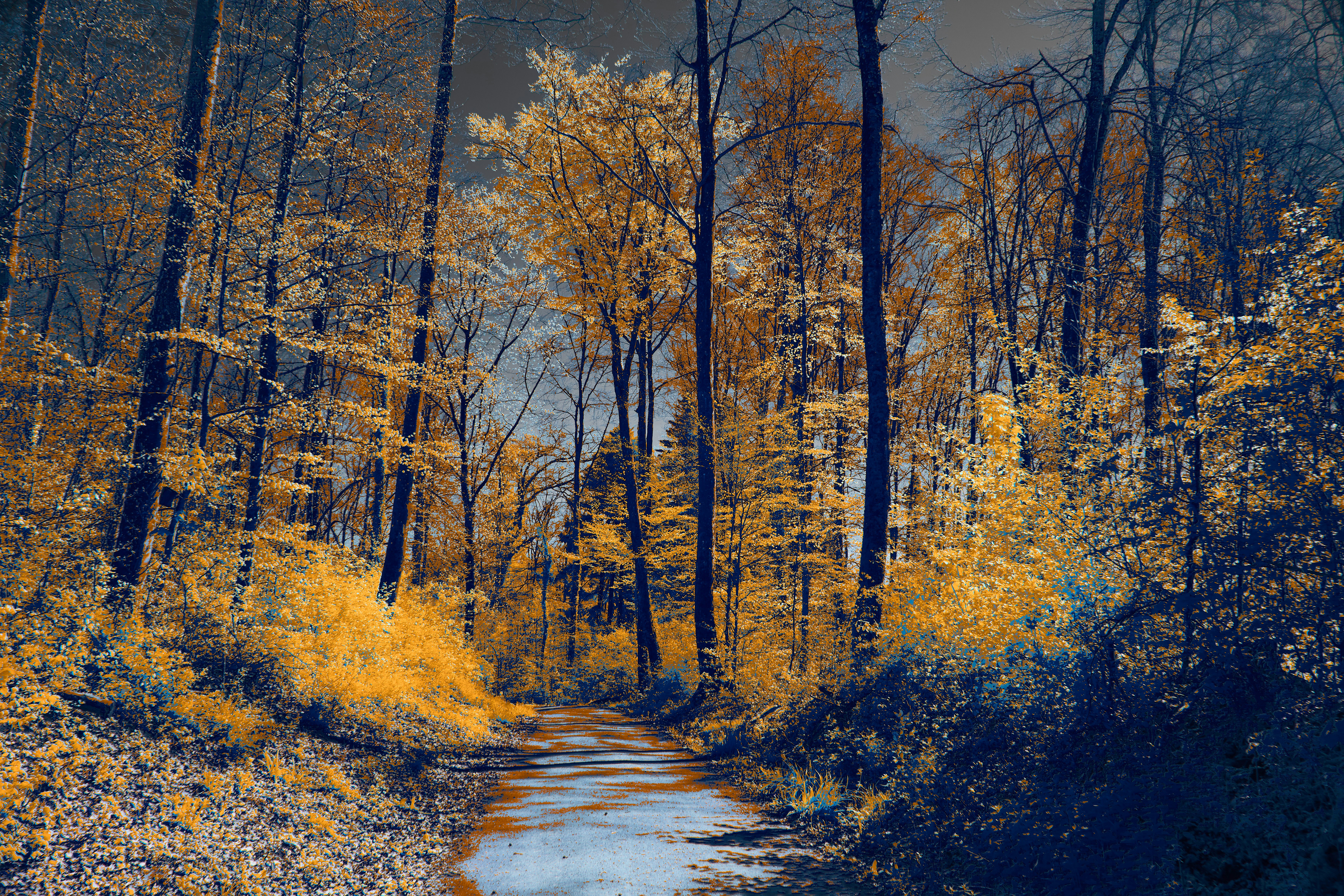 Photo by wolfgang_hasselmann