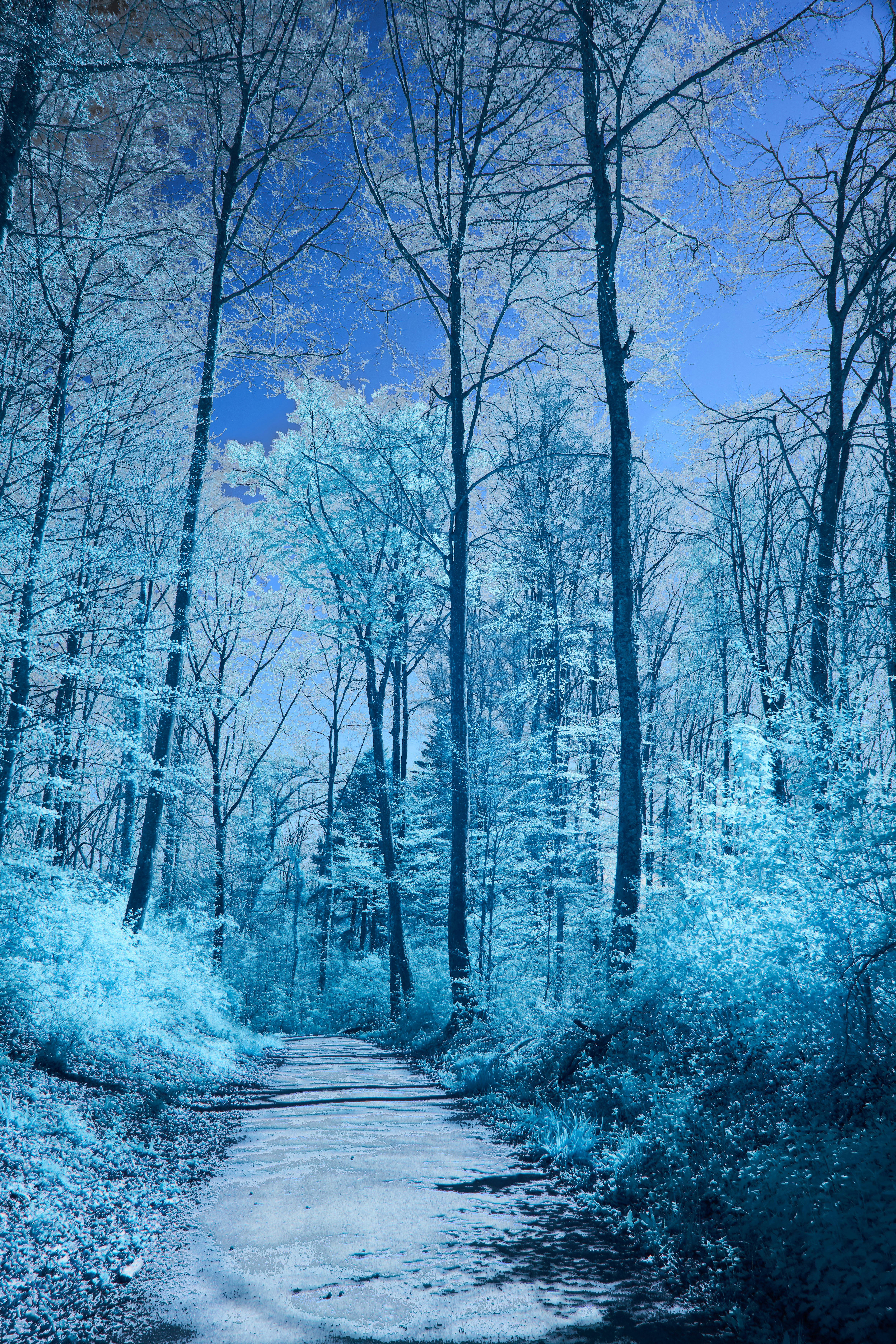 Photo by wolfgang_hasselmann