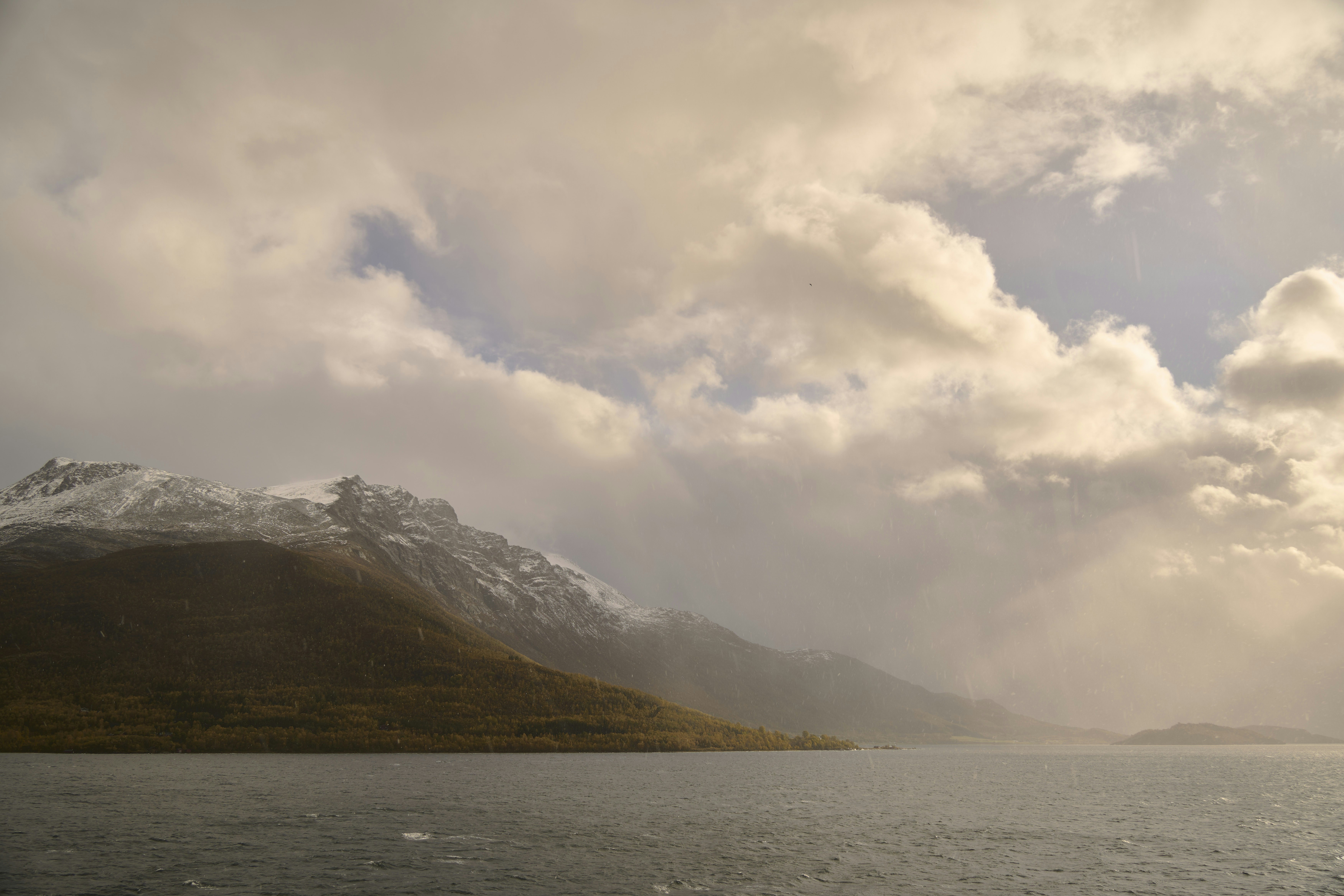 Photo by wolfgang_hasselmann