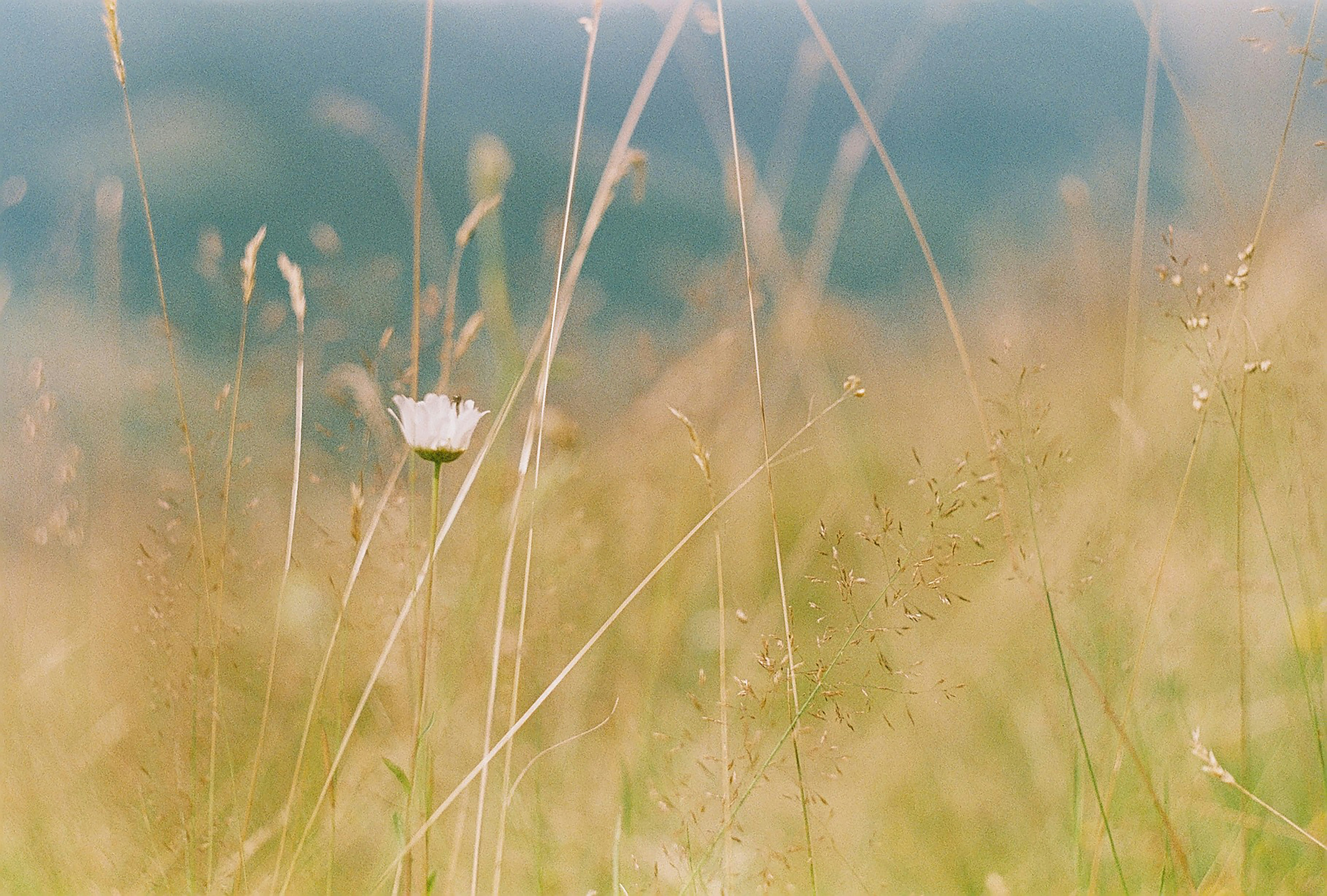 Photo by veronikaaharova