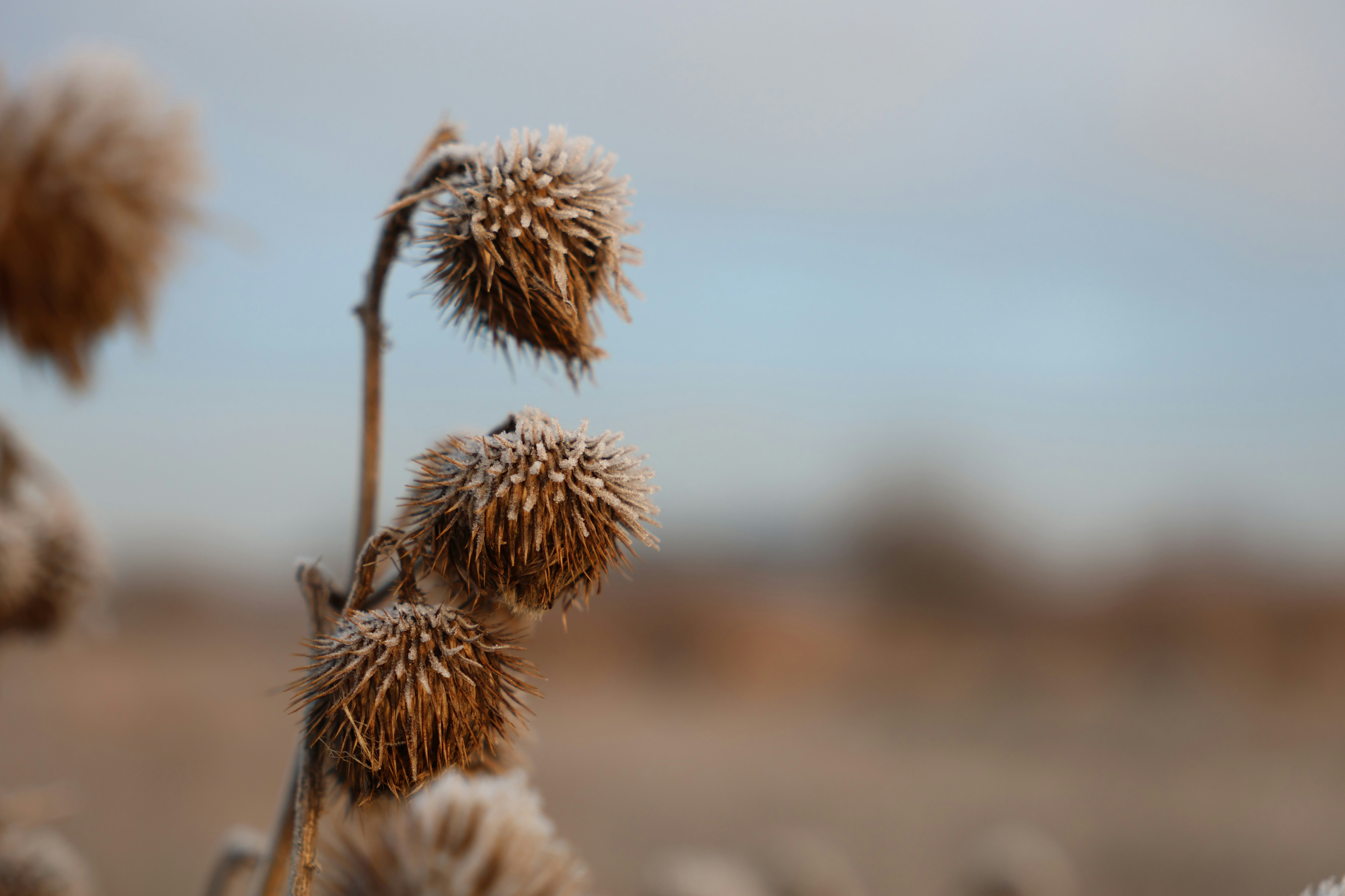 Photo by elkeburhenne