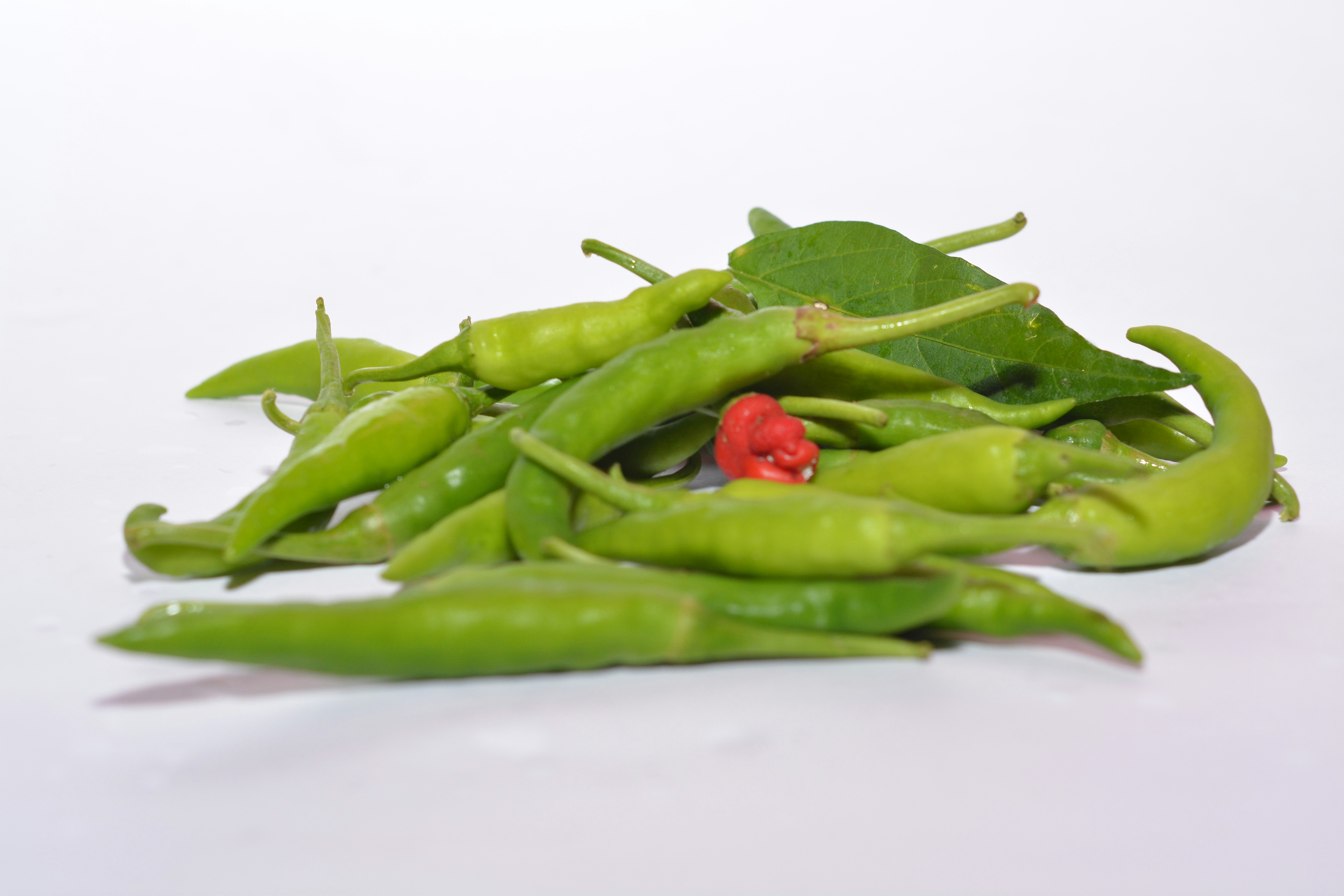 Photo by jibinsamuelphotography