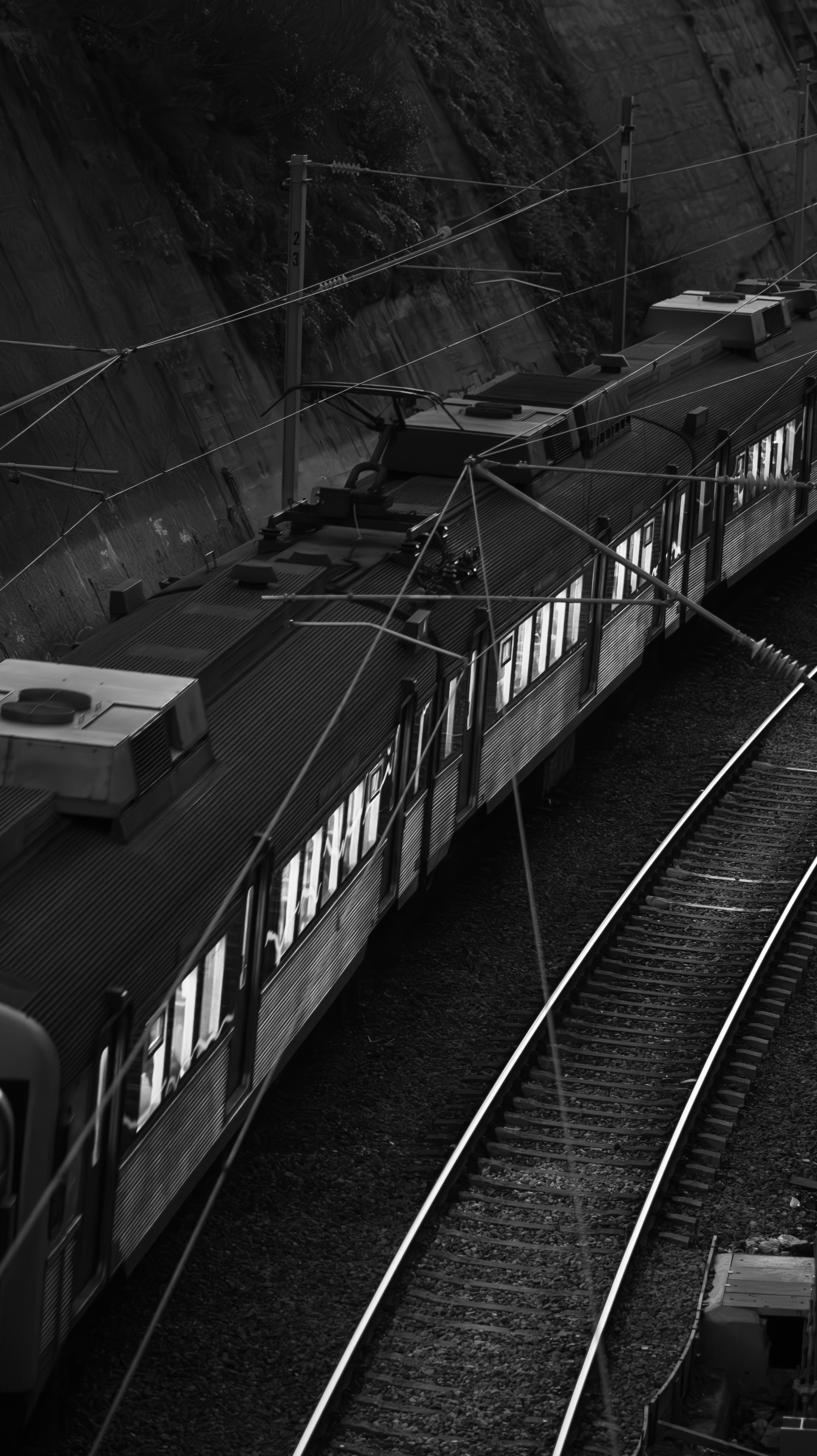 Train on tracks with overhead wires