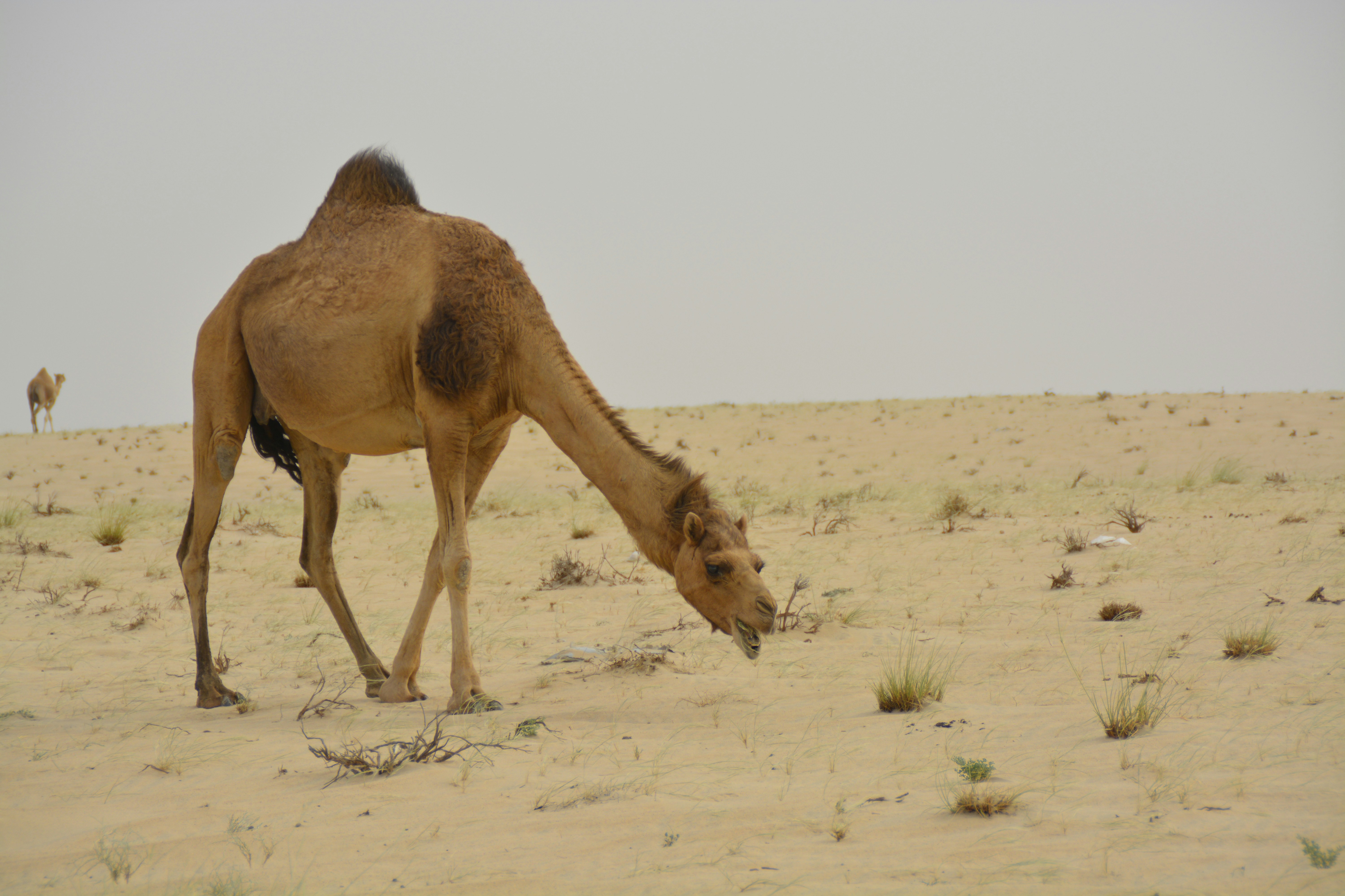 Photo by jibinsamuelphotography