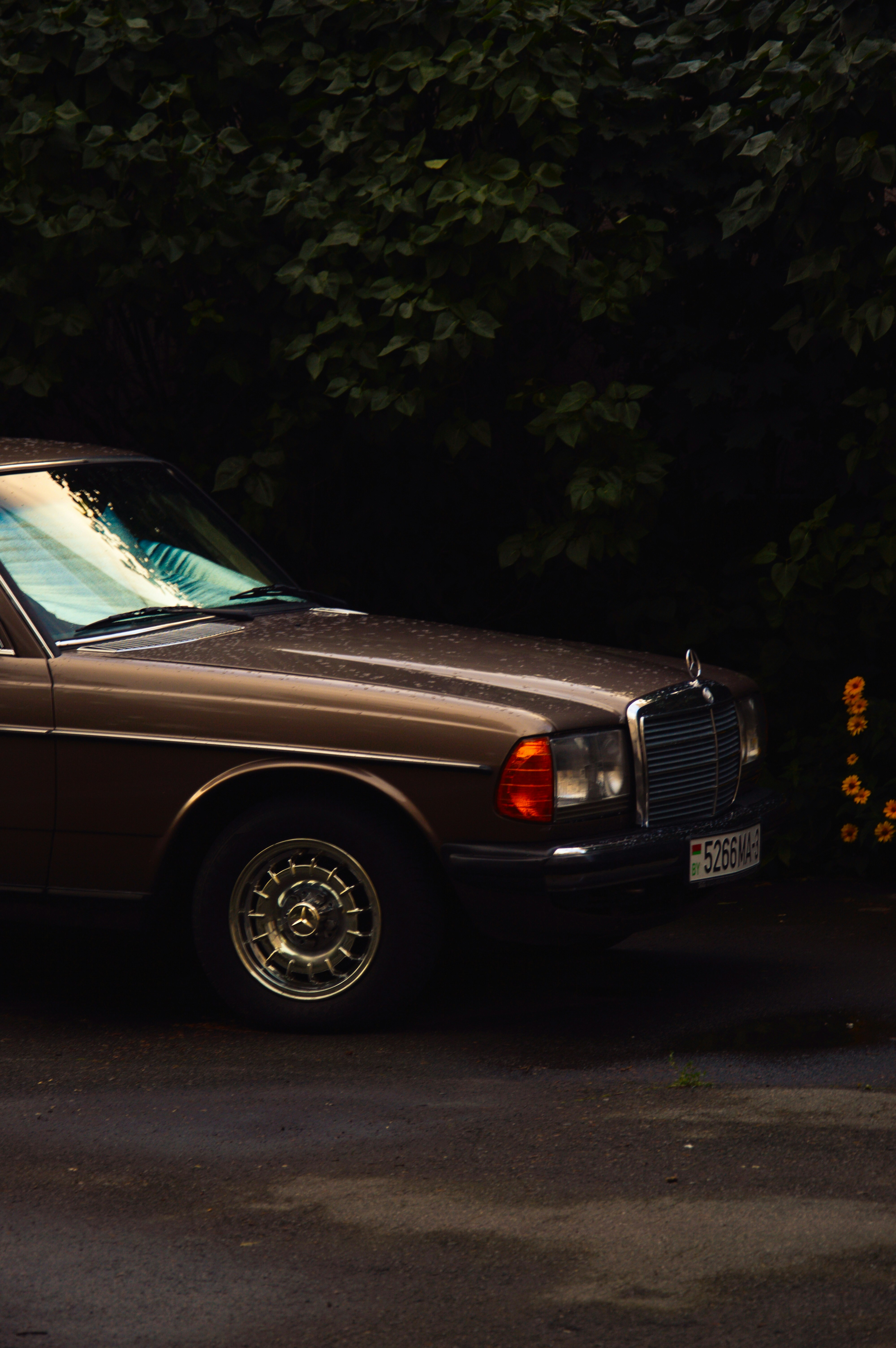 Photo by beauty_is_everywhere