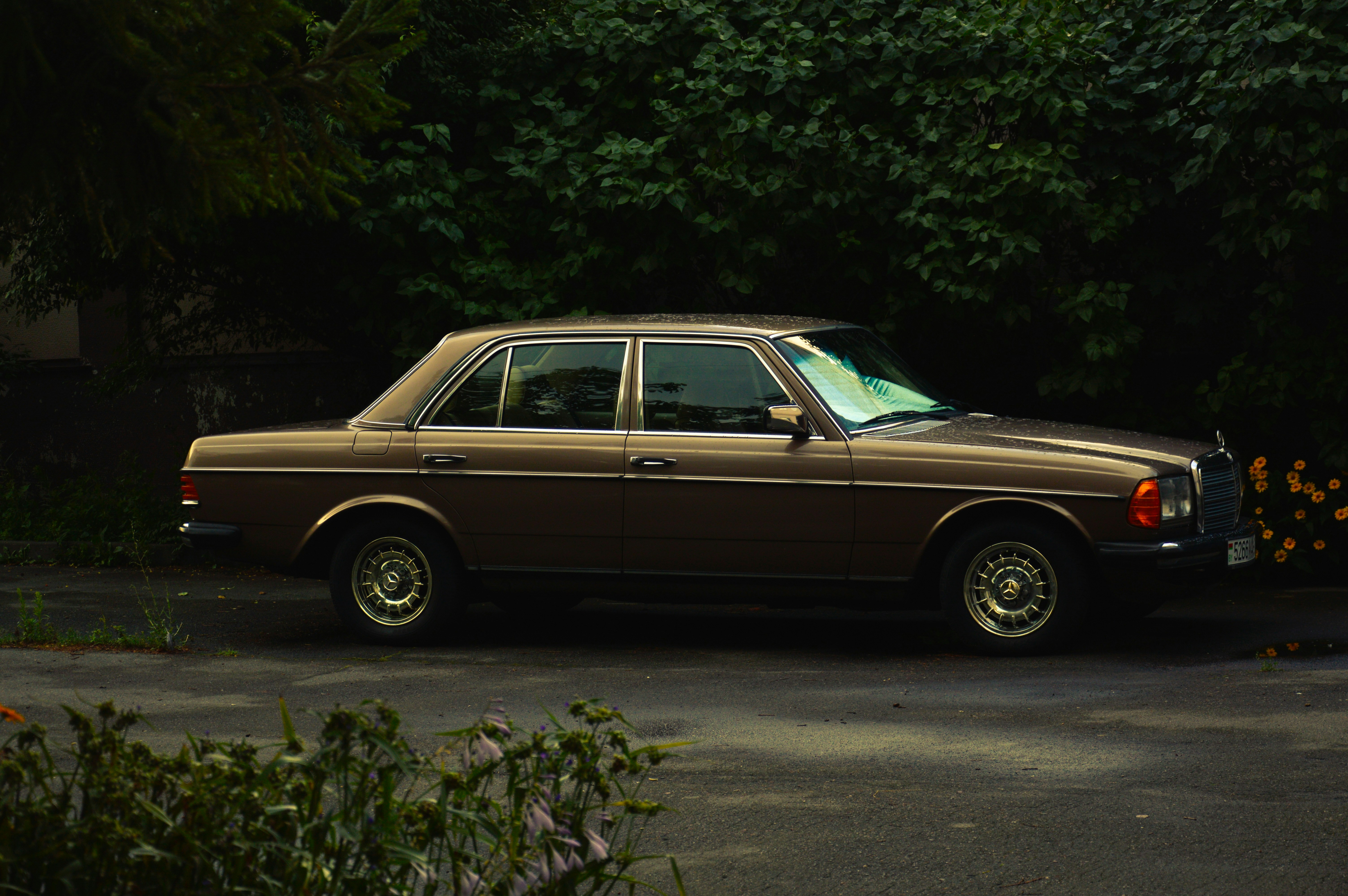 Photo by beauty_is_everywhere