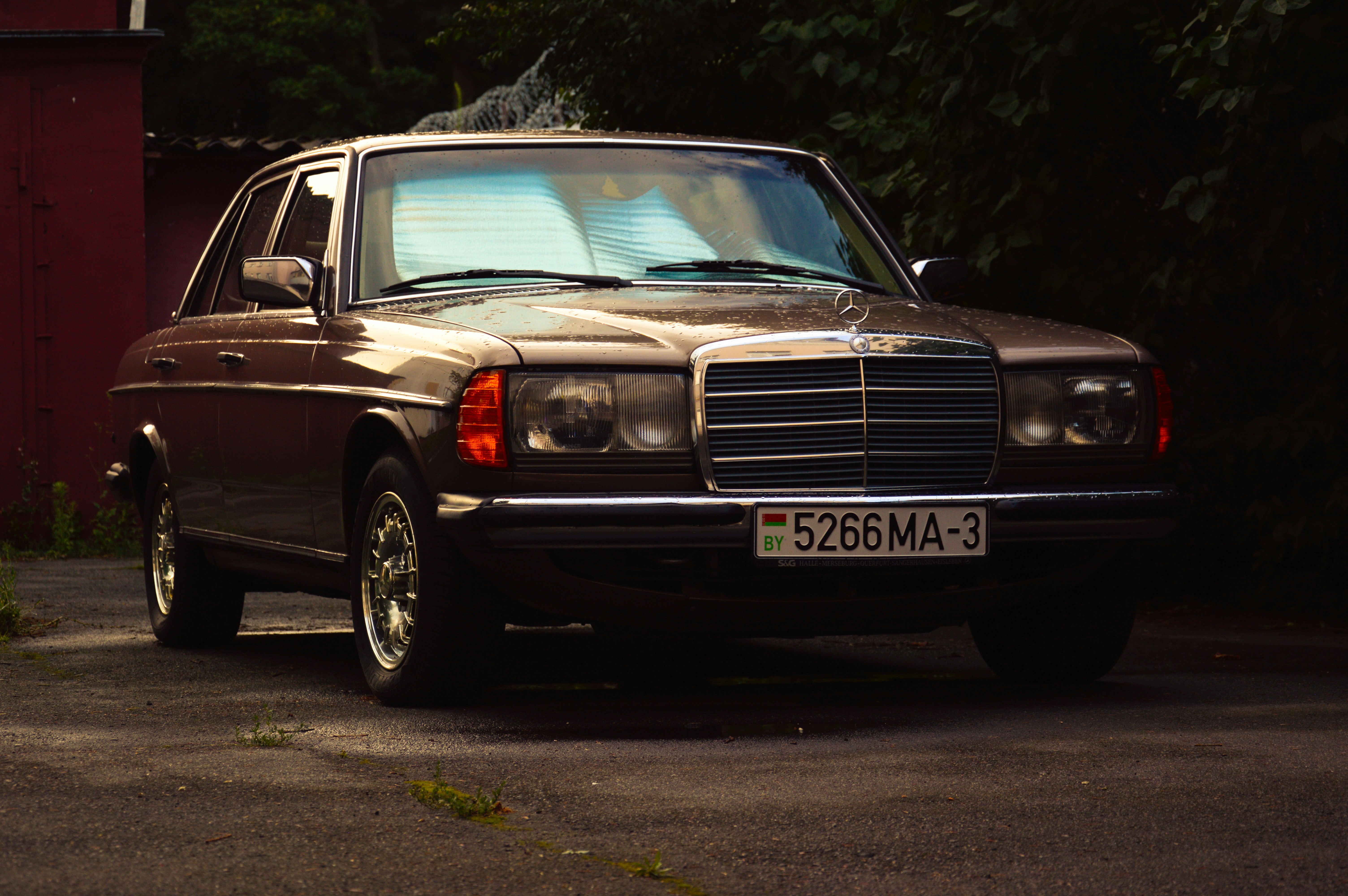 Photo by beauty_is_everywhere