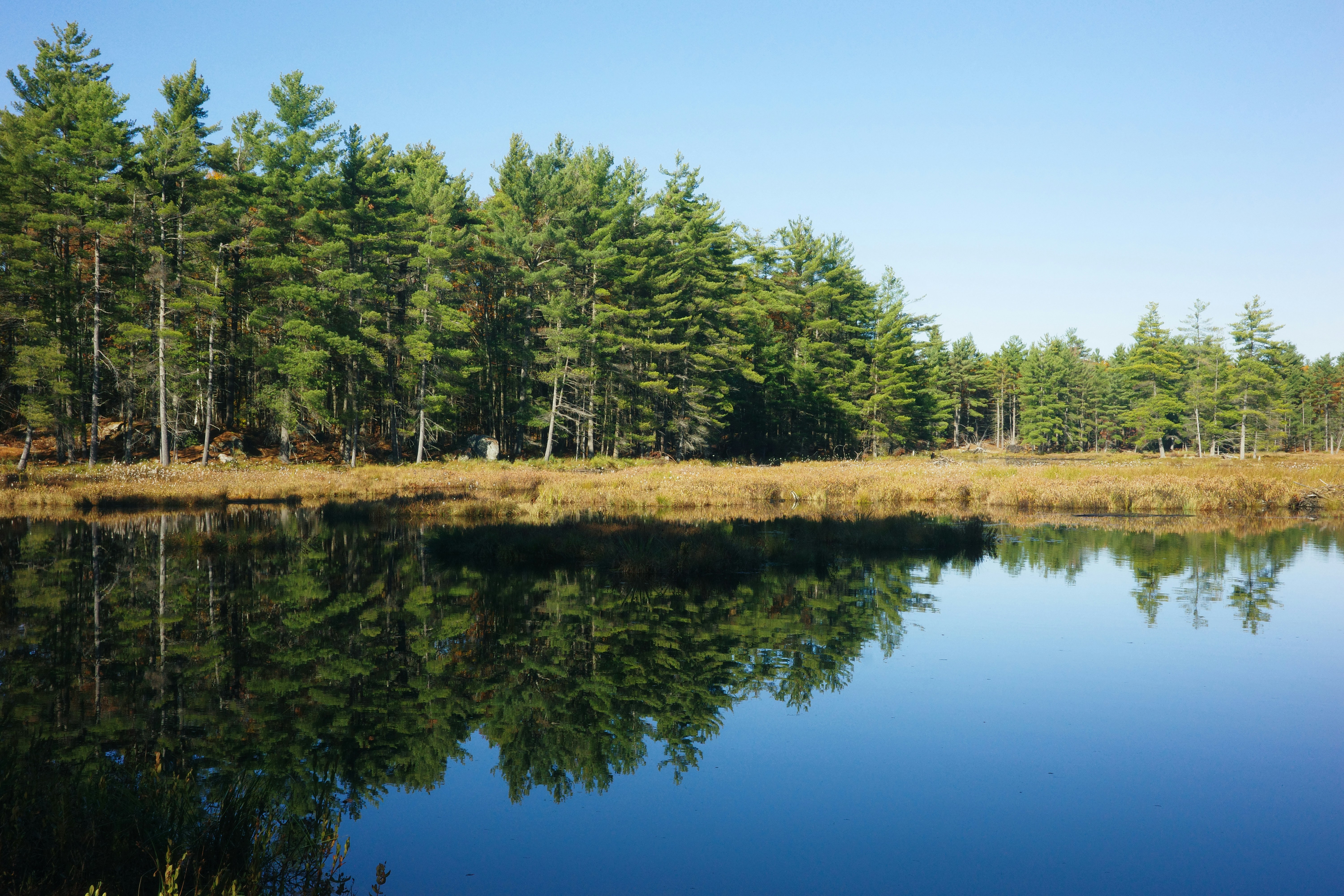 Photo by findway_jerry