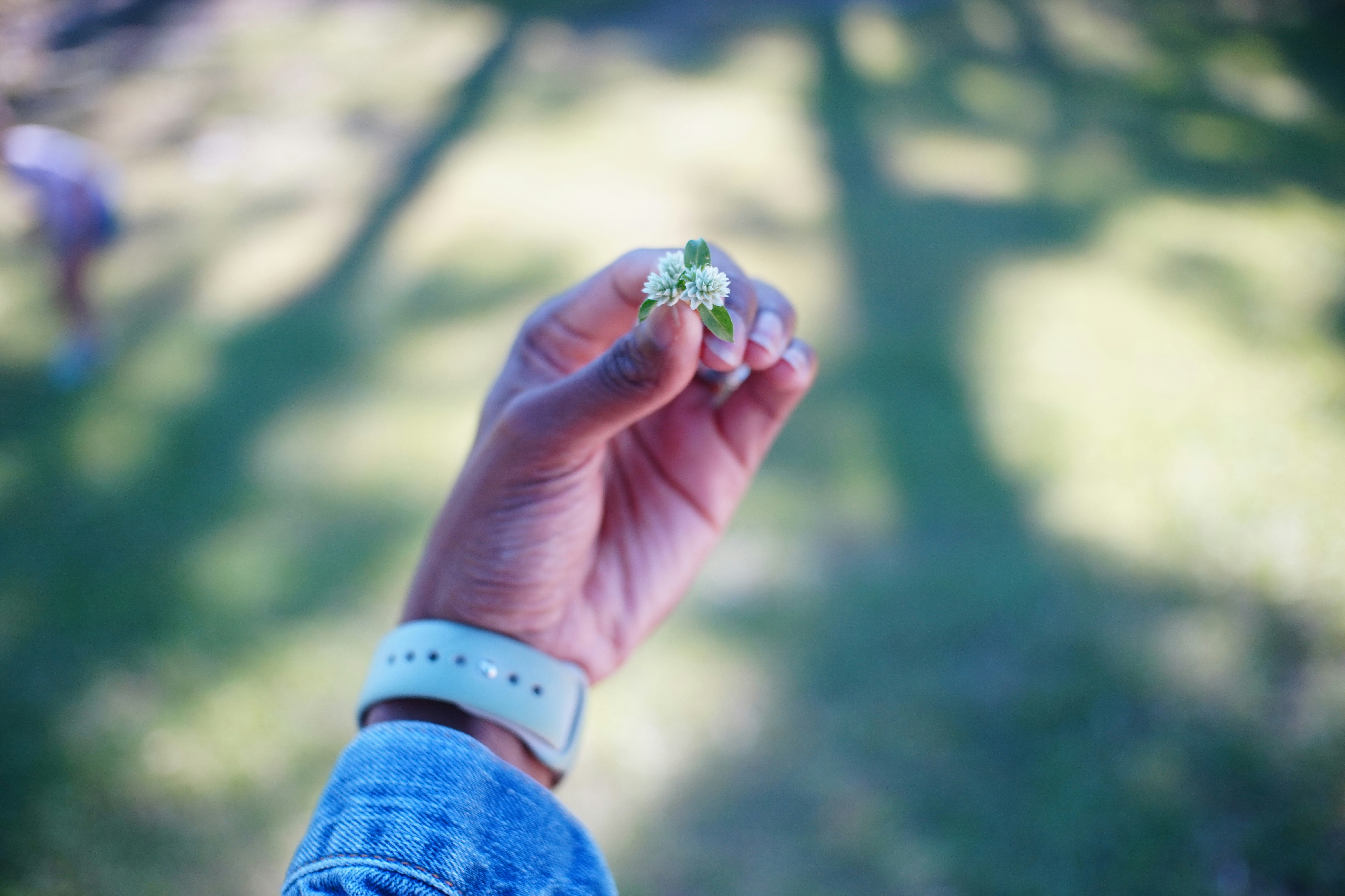 Photo by jazblaser28