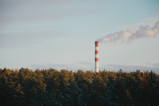 Factory chimney emitting smoke over a forest