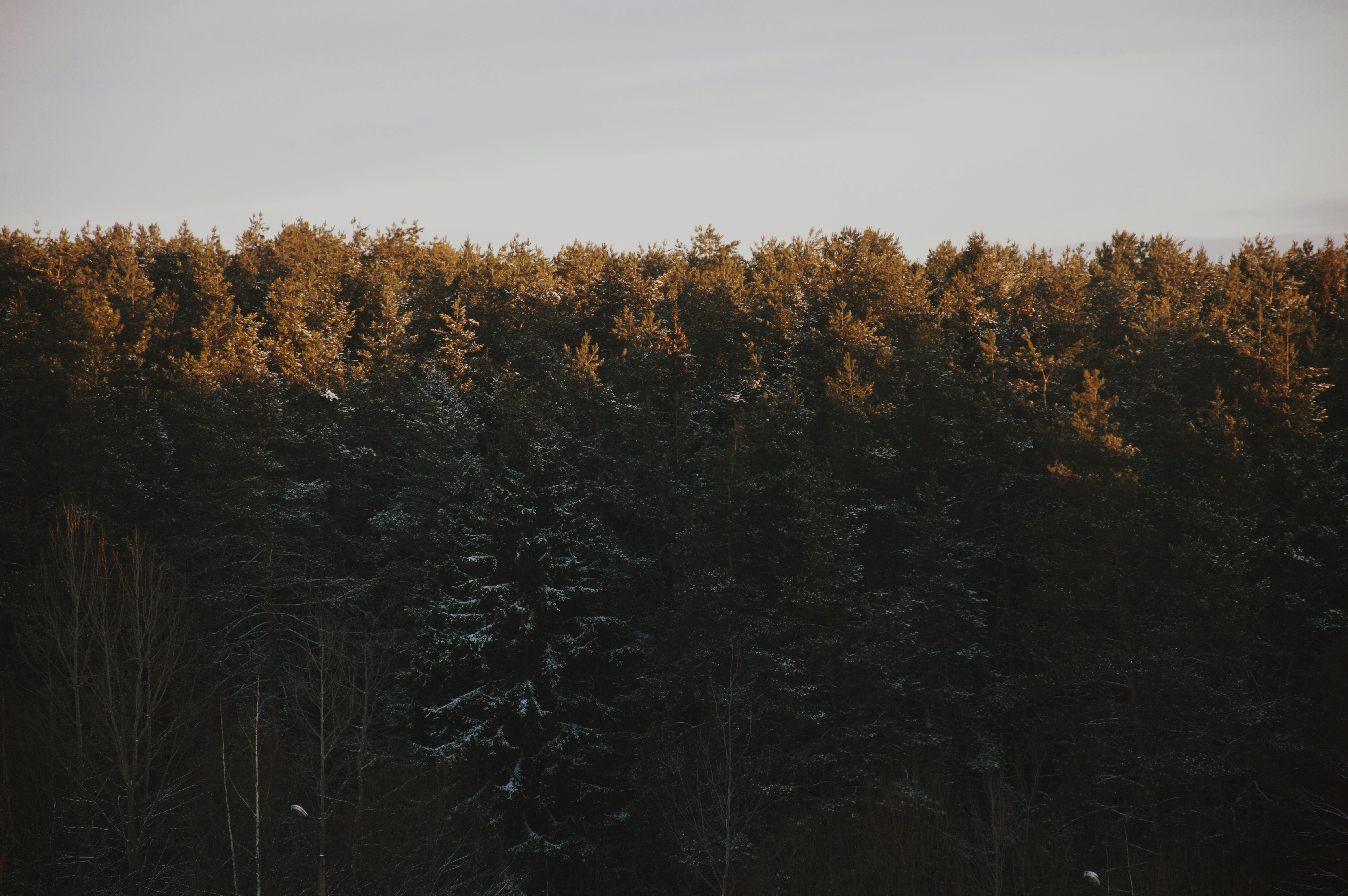 Photo by beauty_is_everywhere