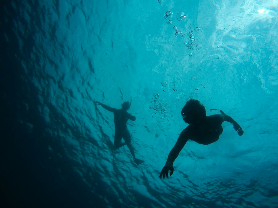 Open Water Cơ Bản