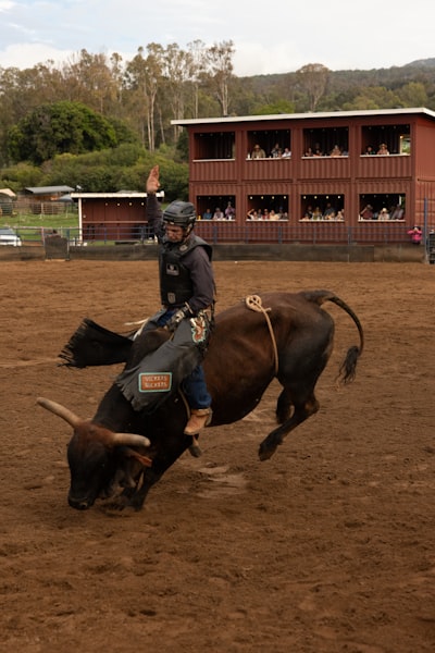 Mesquite Championship Rodeo - Mesquite Texas landmark for local SEO and web design services