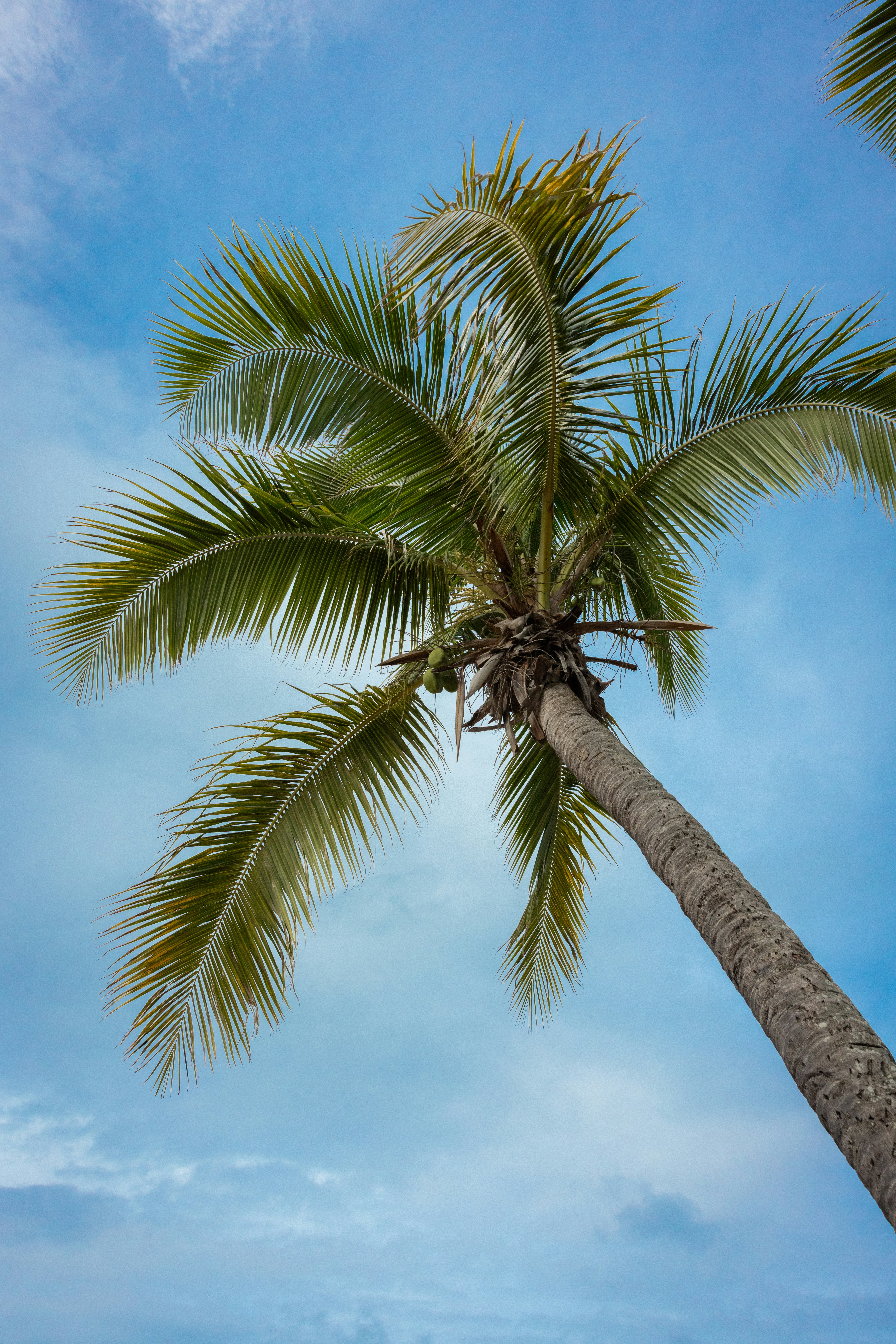 Photo by digitalreachmarketing