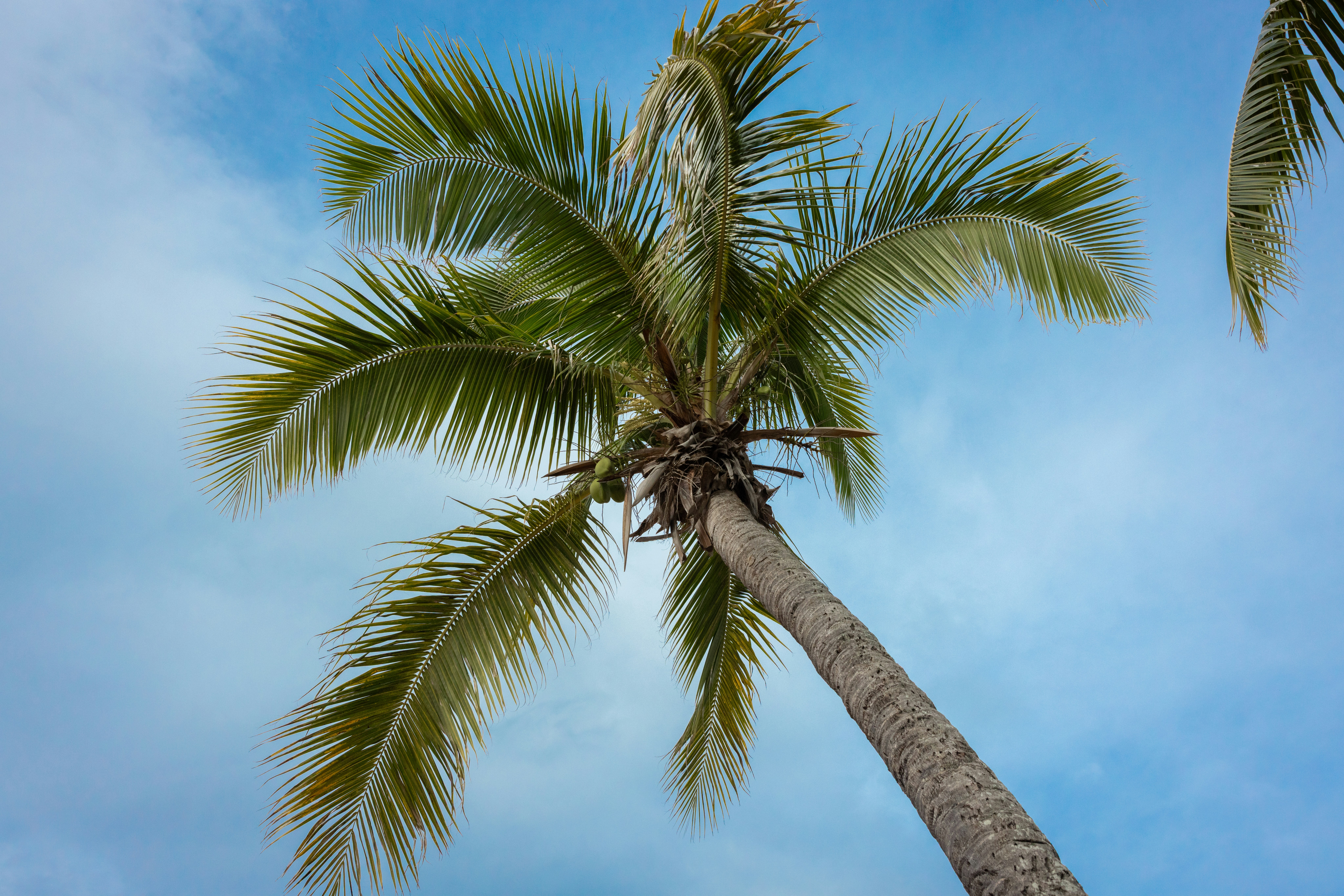 Photo by digitalreachmarketing