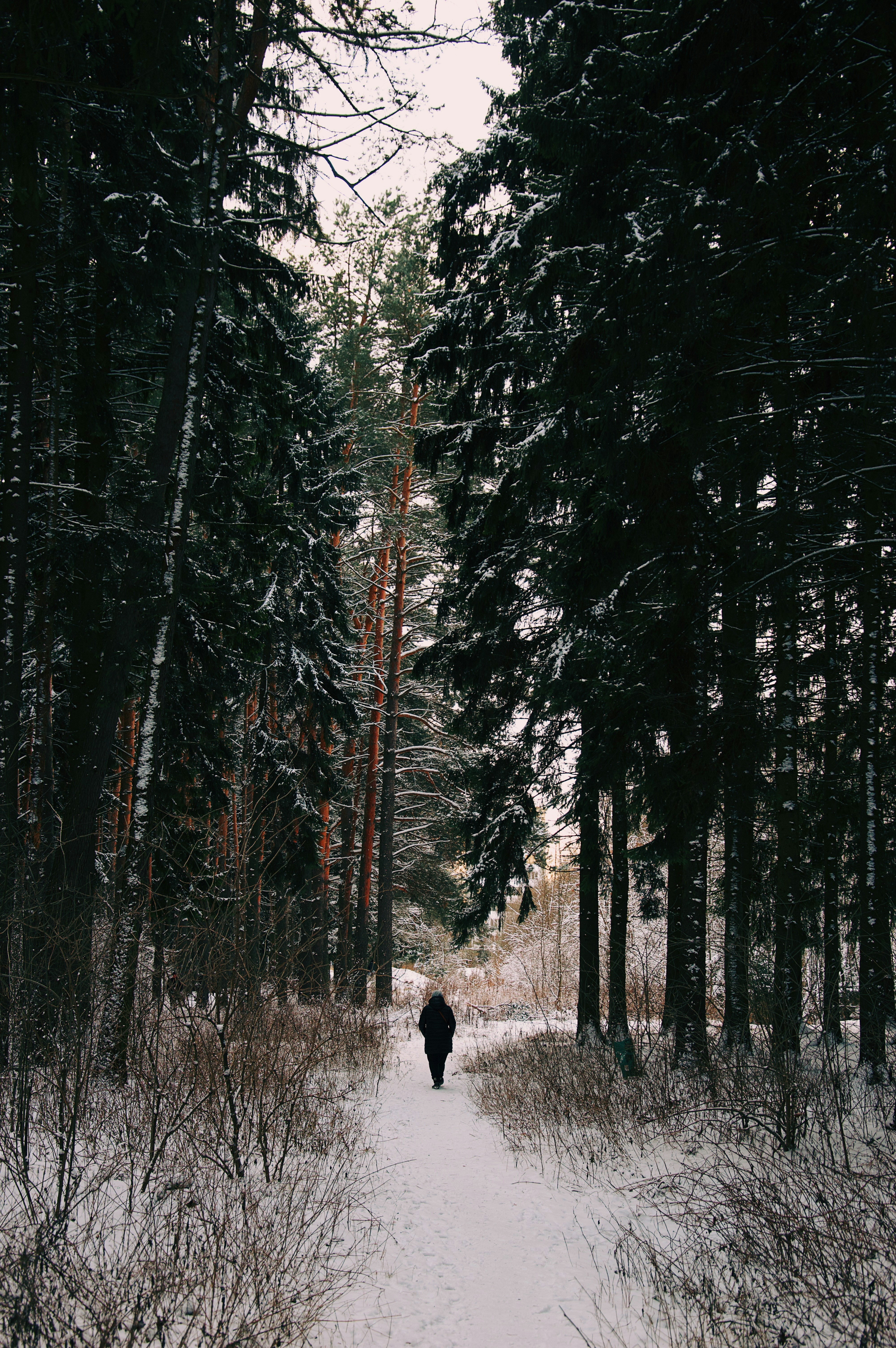 Photo by beauty_is_everywhere