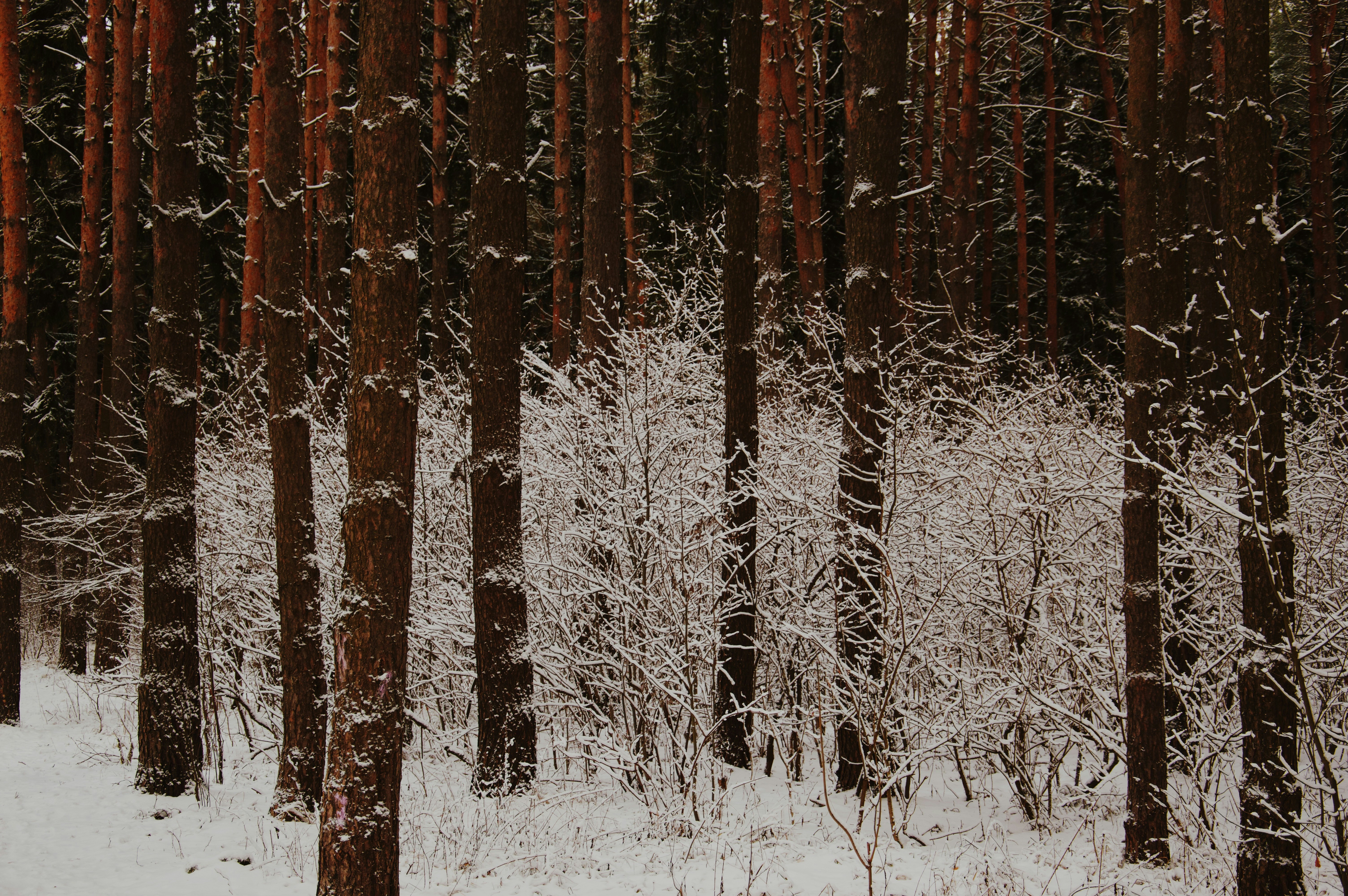 Photo by beauty_is_everywhere