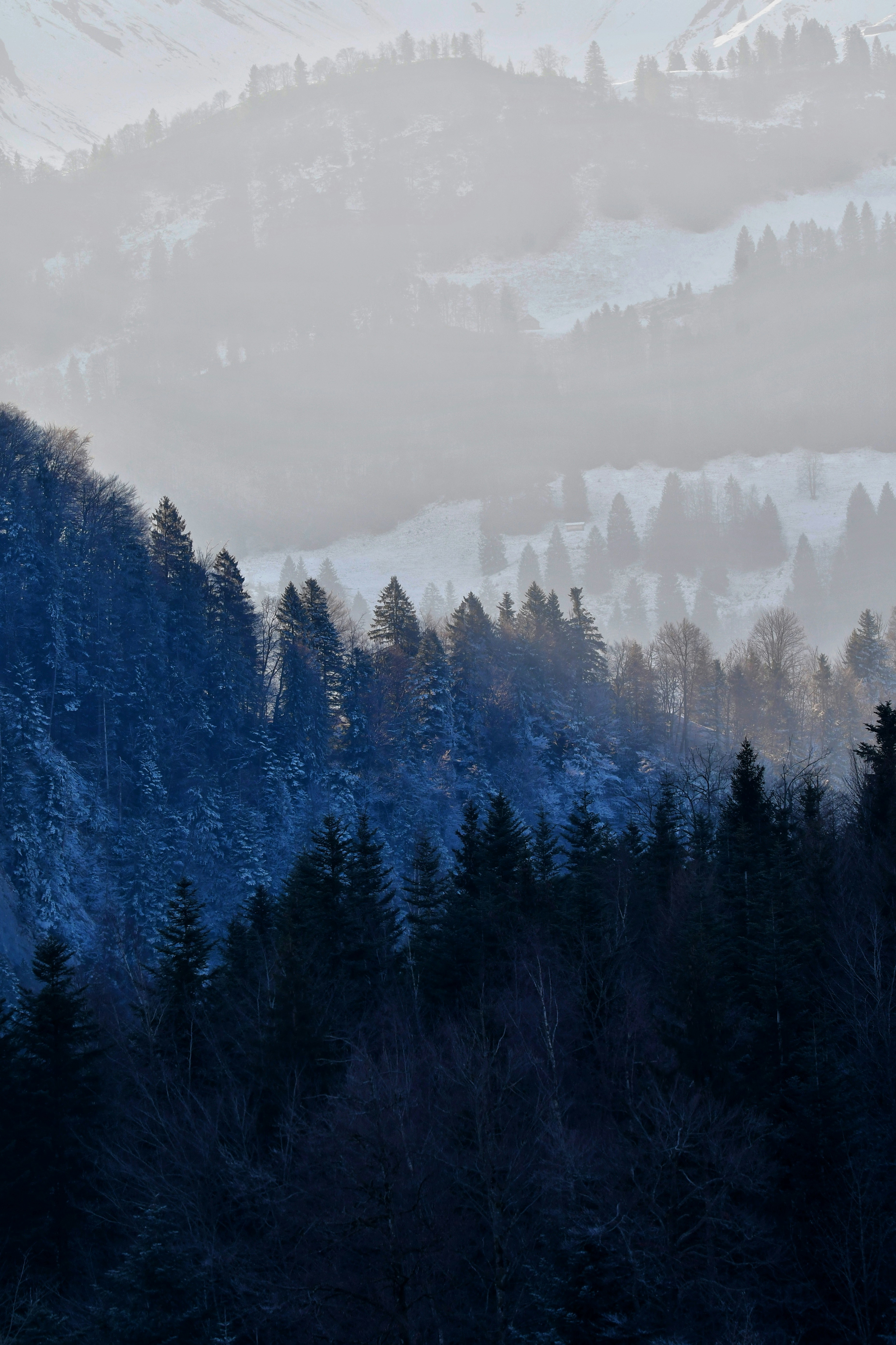 Photo by pedrino5_official