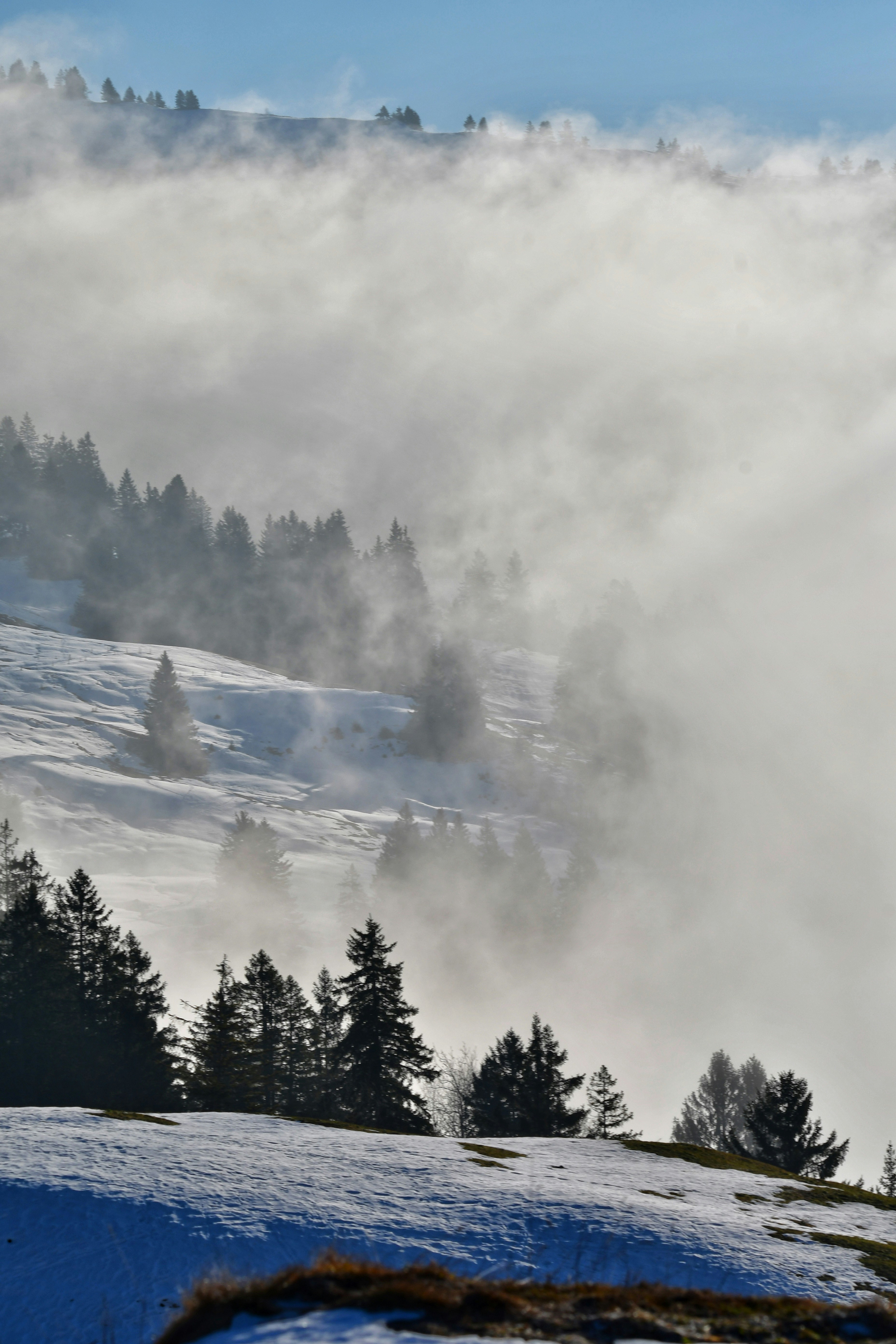 Photo by pedrino5_official