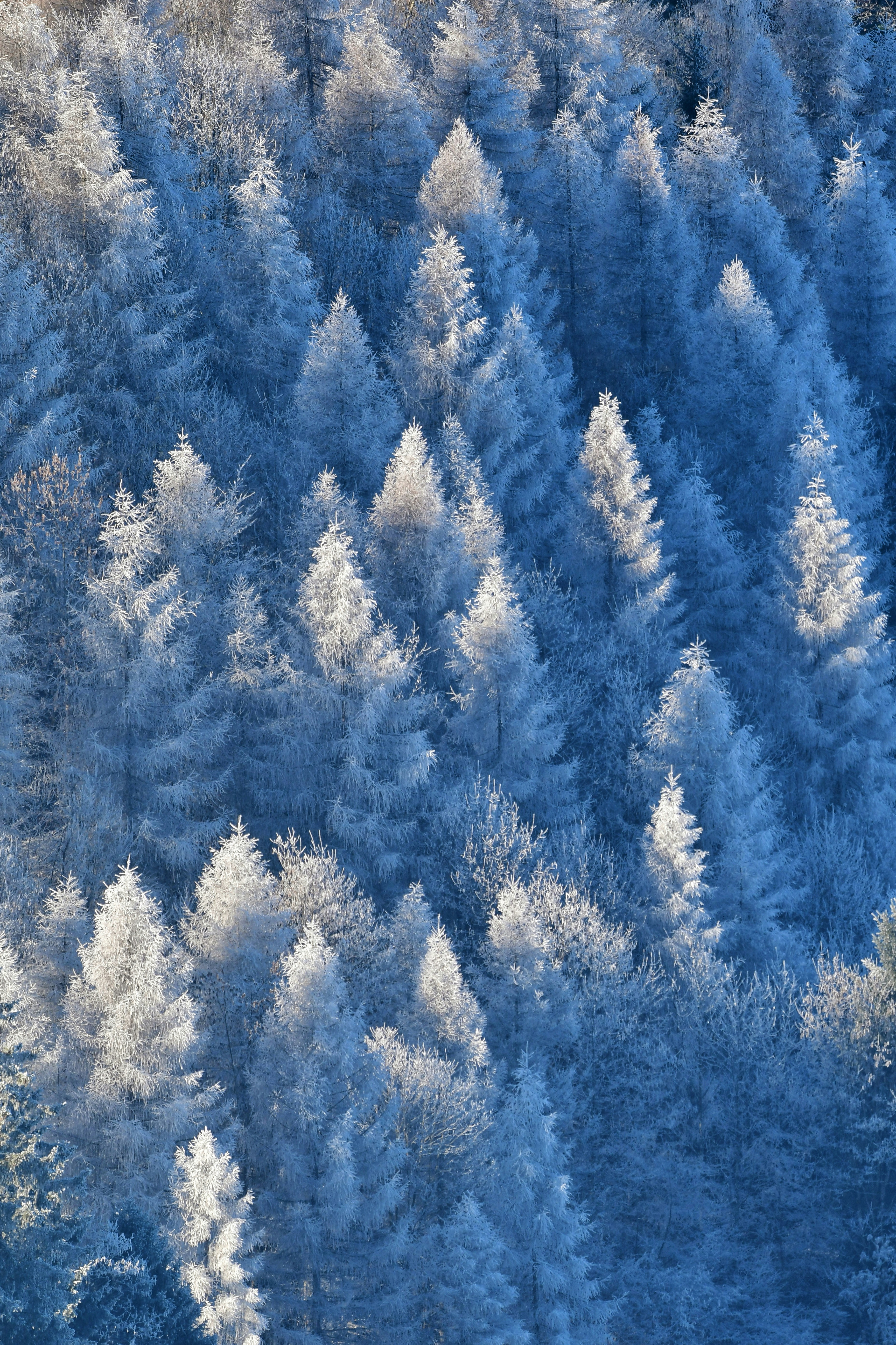 Photo by pedrino5_official