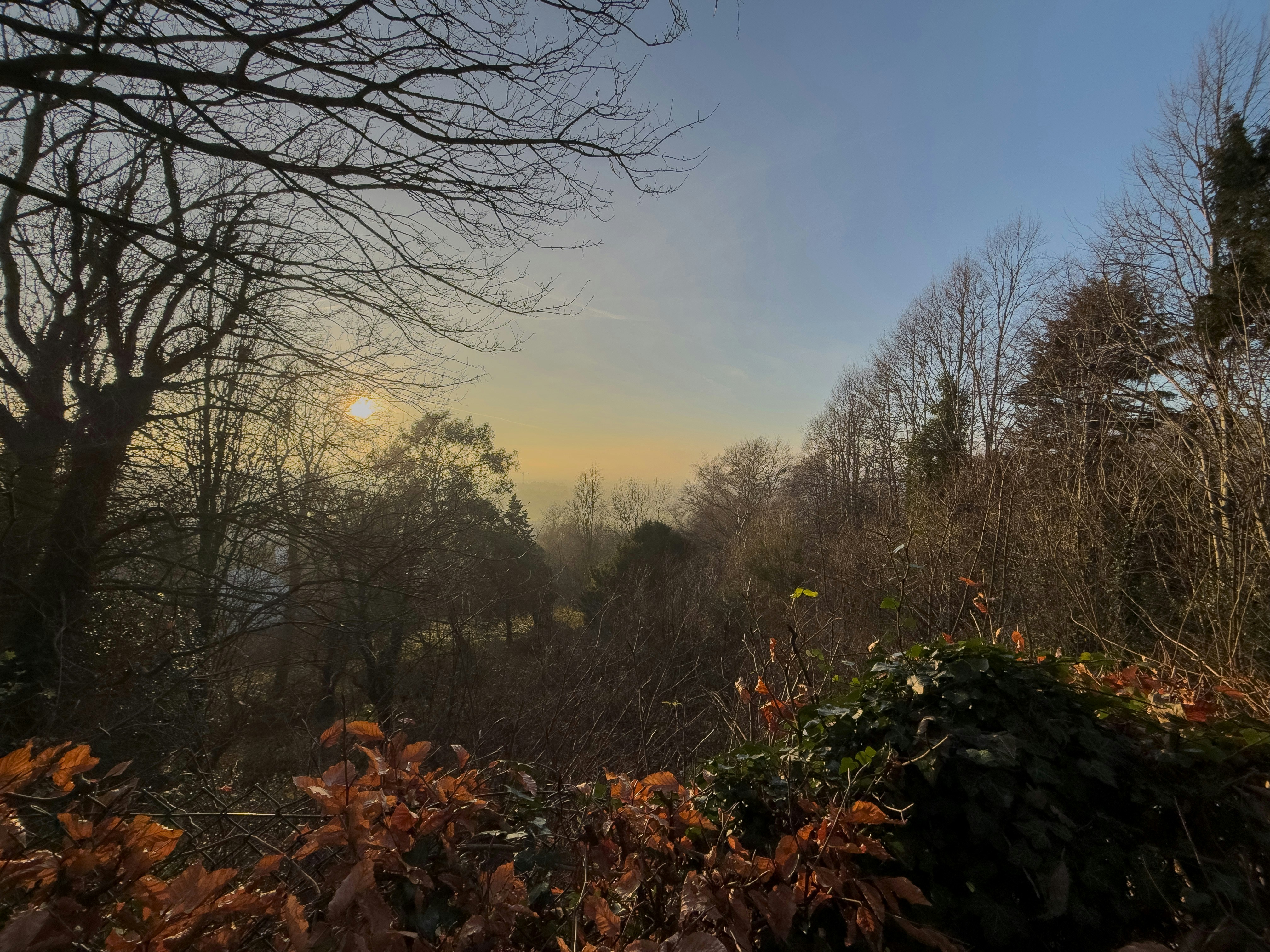 Photo by brett_jordan