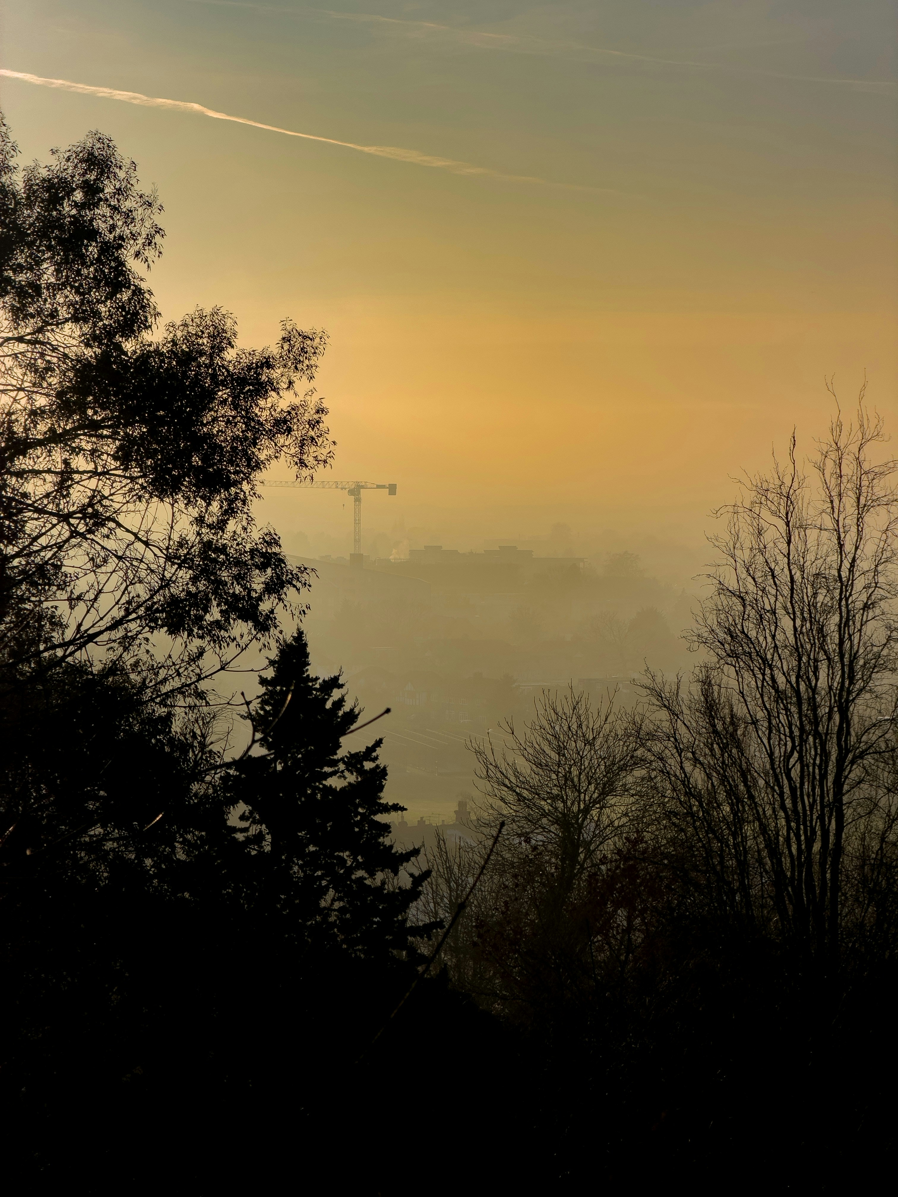 Photo by brett_jordan